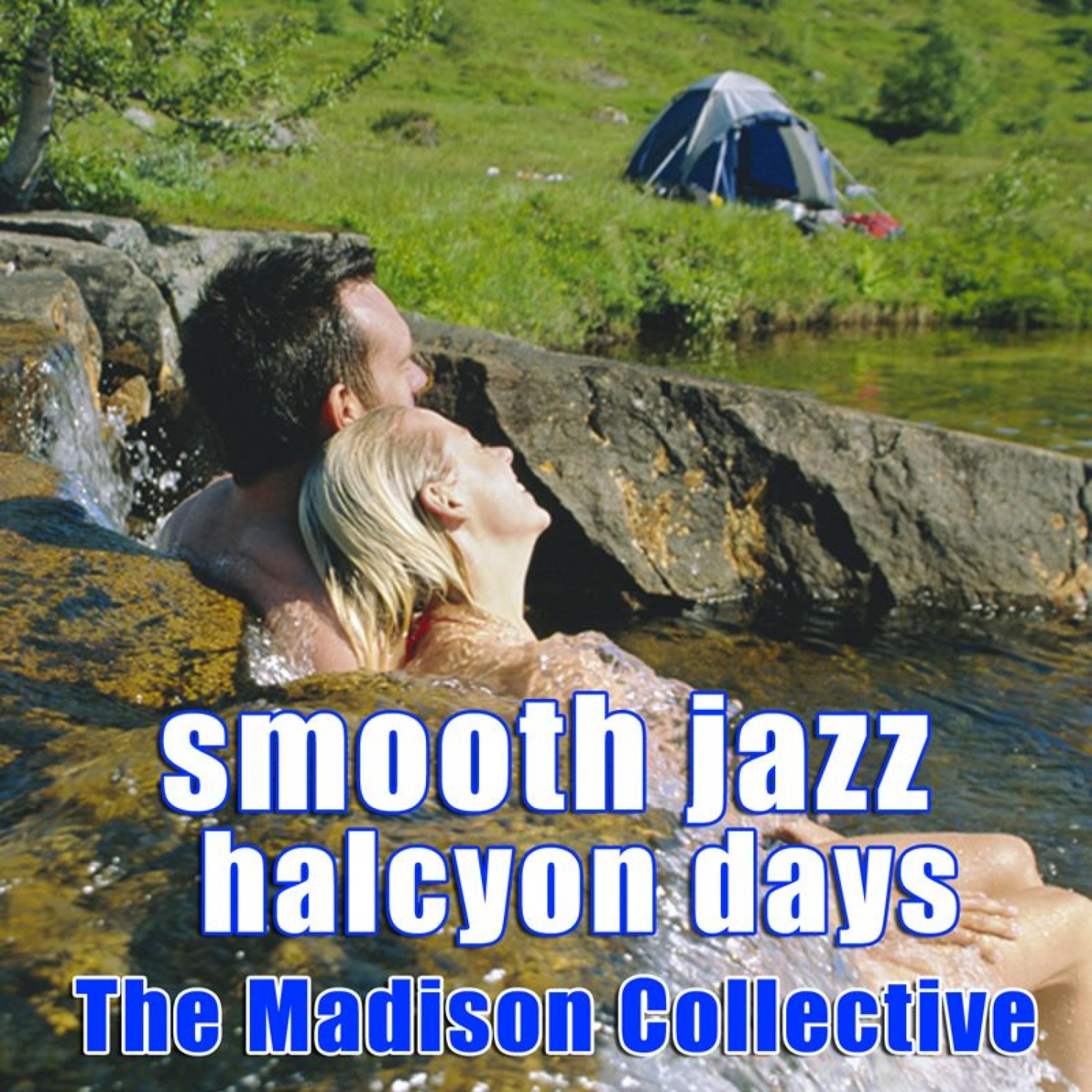 Постер альбома Smooth Jazz Halcyon Days
