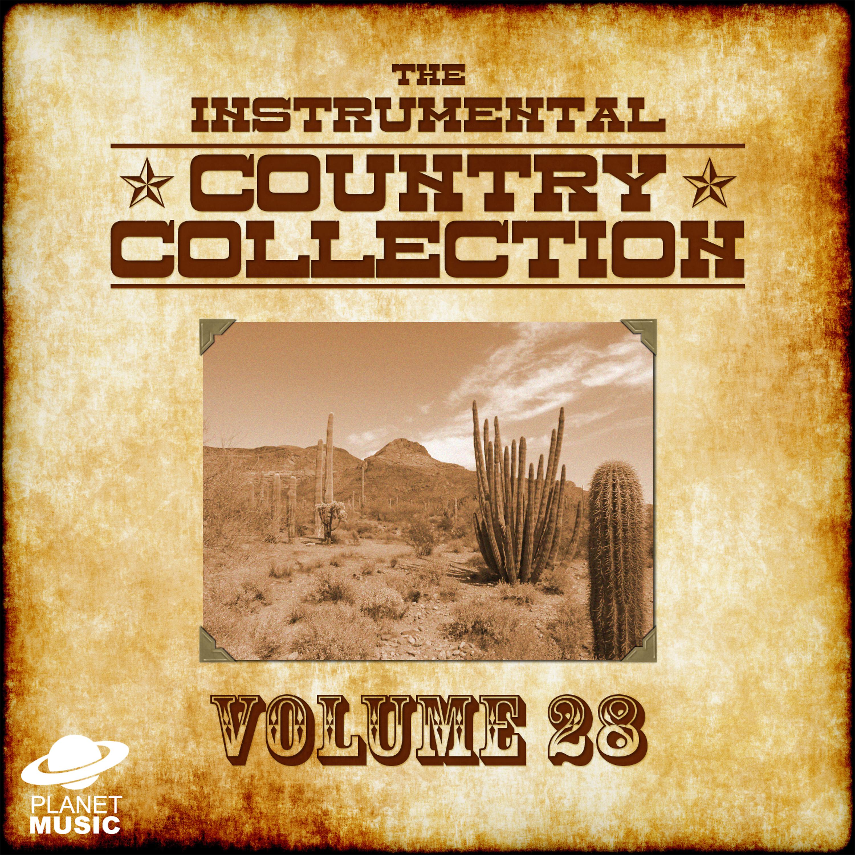 Постер альбома The Instrumental Country Collection, Vol. 28