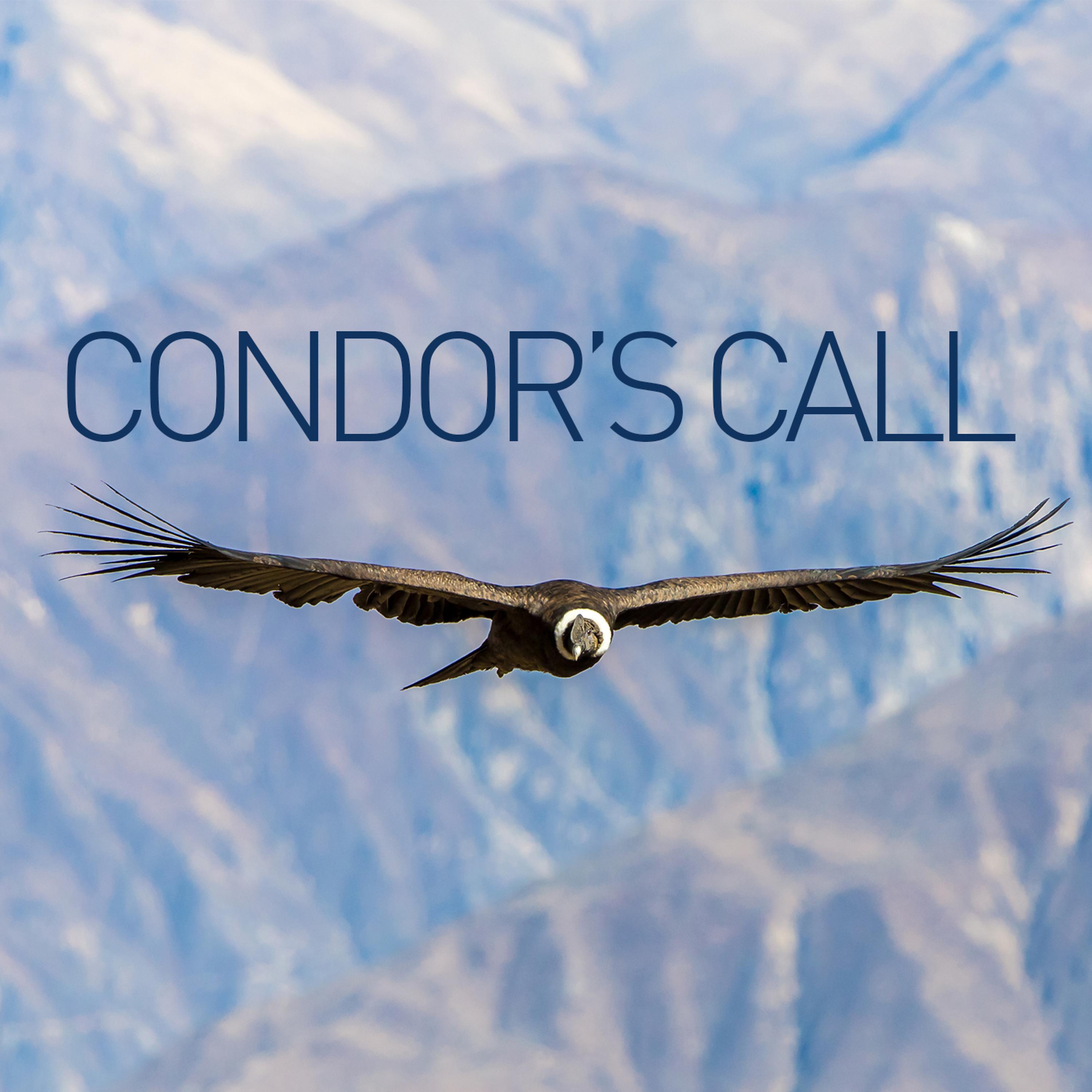 Постер альбома Condor's Call