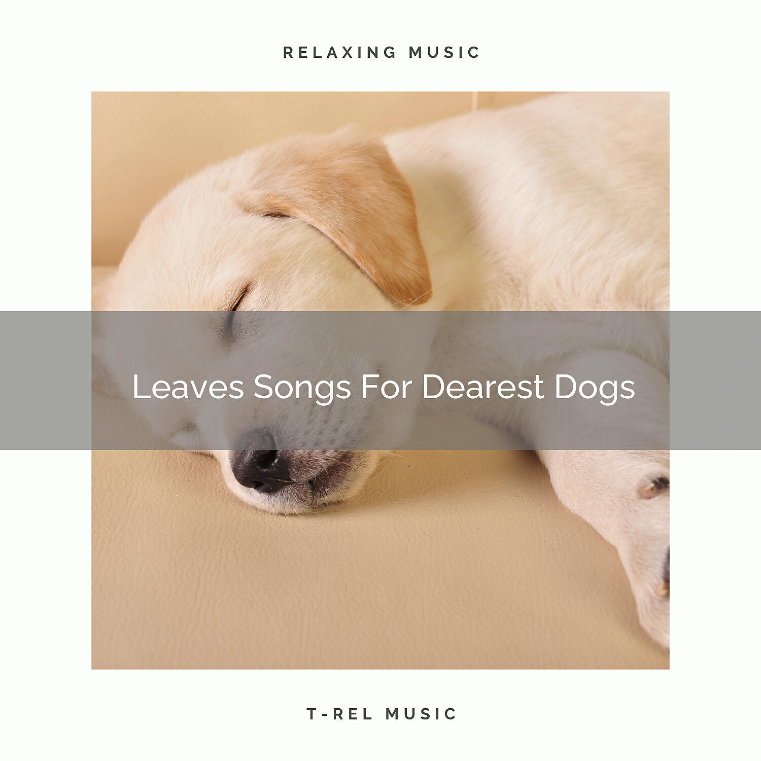 Dog Relax - Calming Waves Noises For Household Dogs