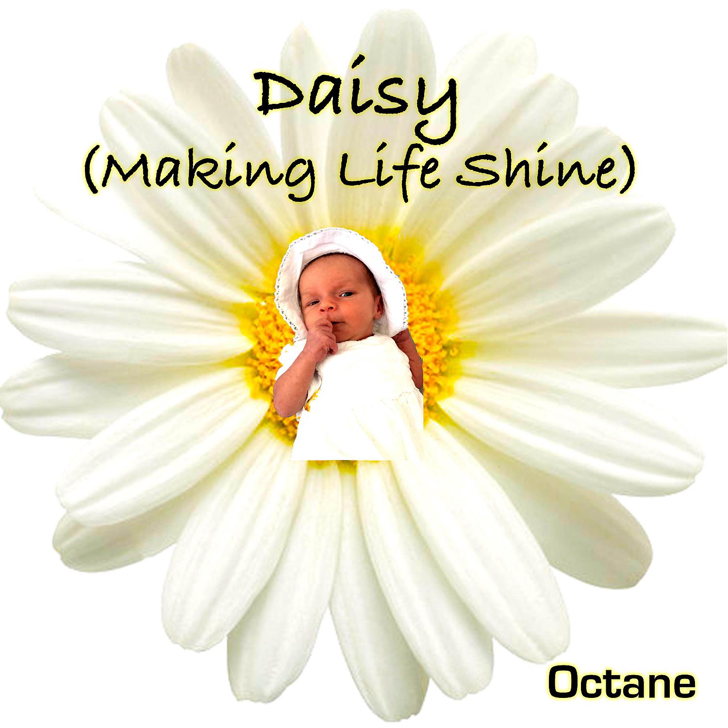 Постер альбома Daisy Making Life Shine