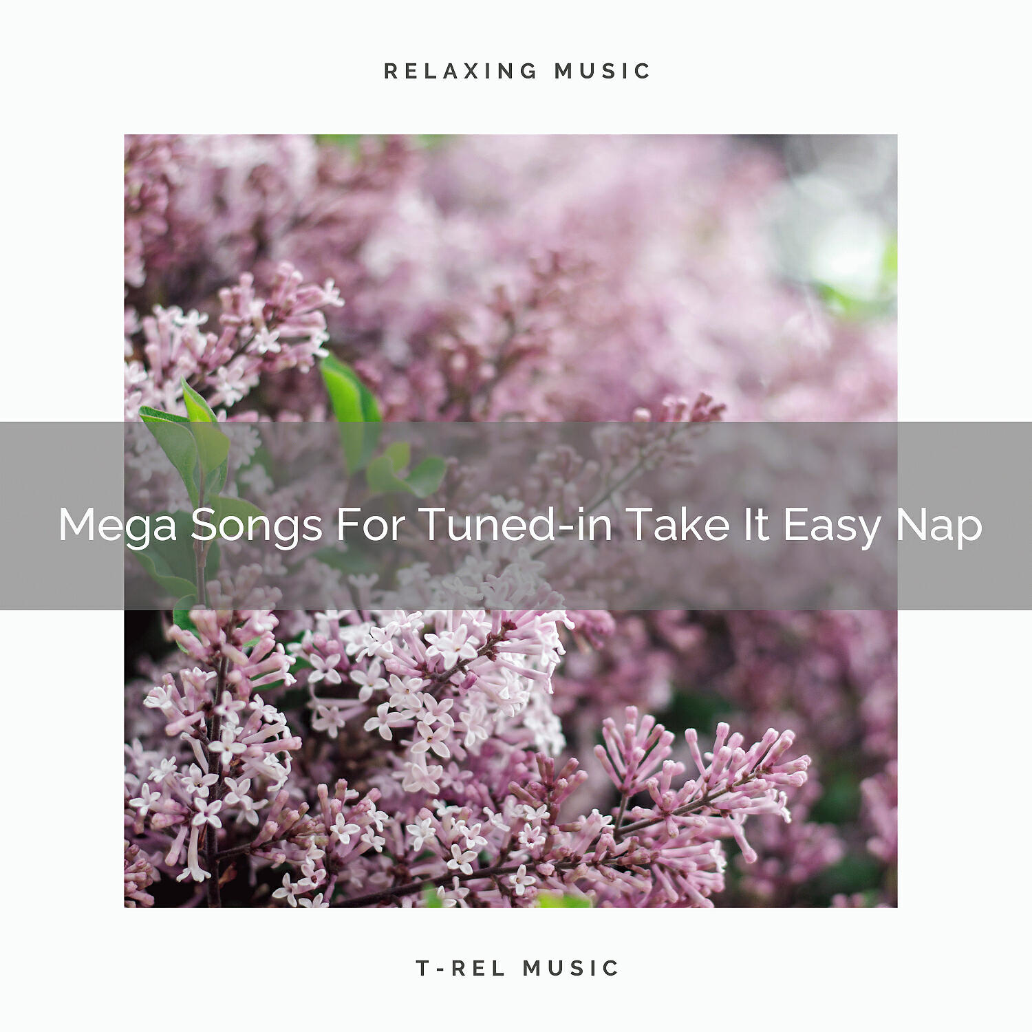Pure Deep Sleep White Noise - All Noises For Special Take It Easy Sleep