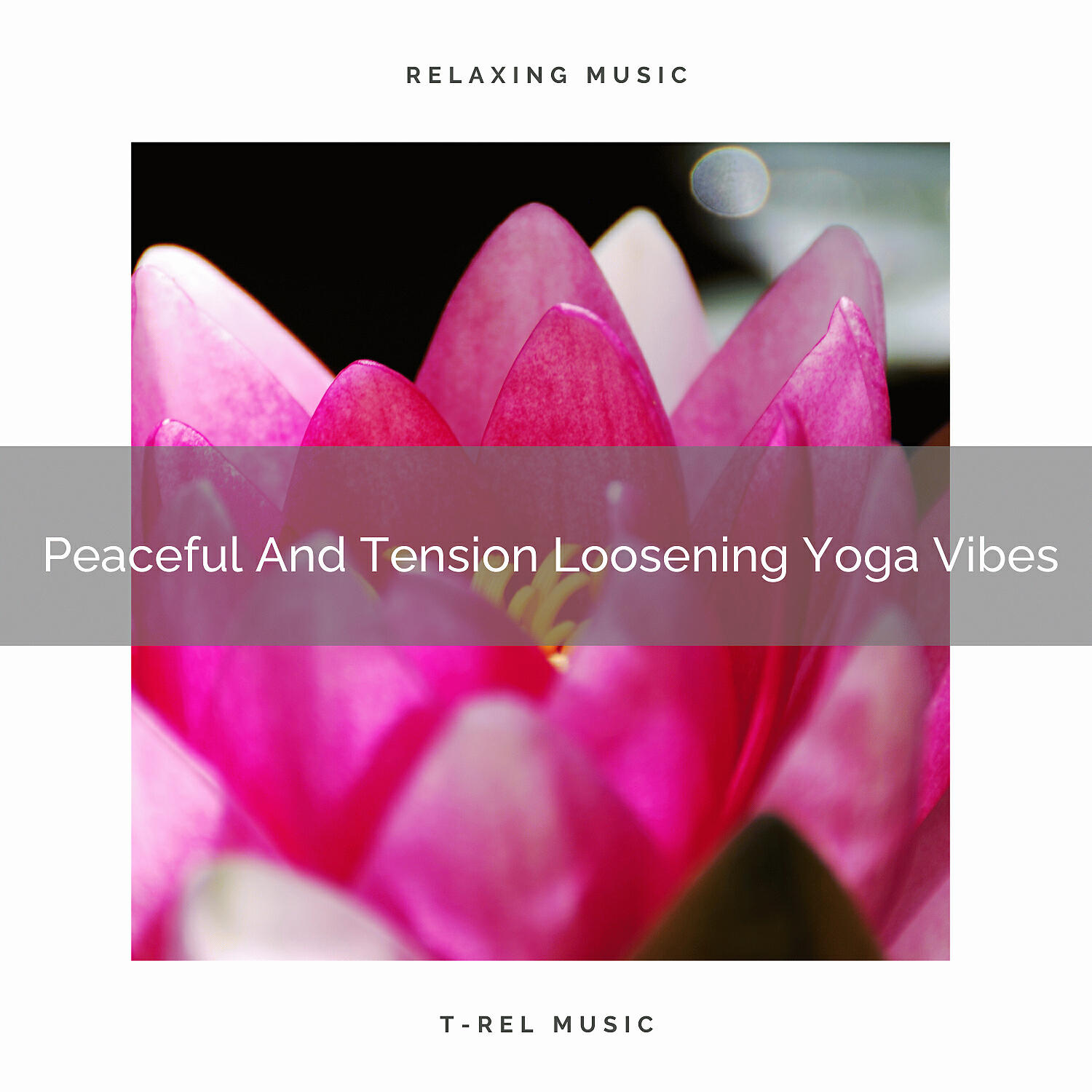 Sanctuary Of Relax - Peaceful And Tension Loosening Body Music