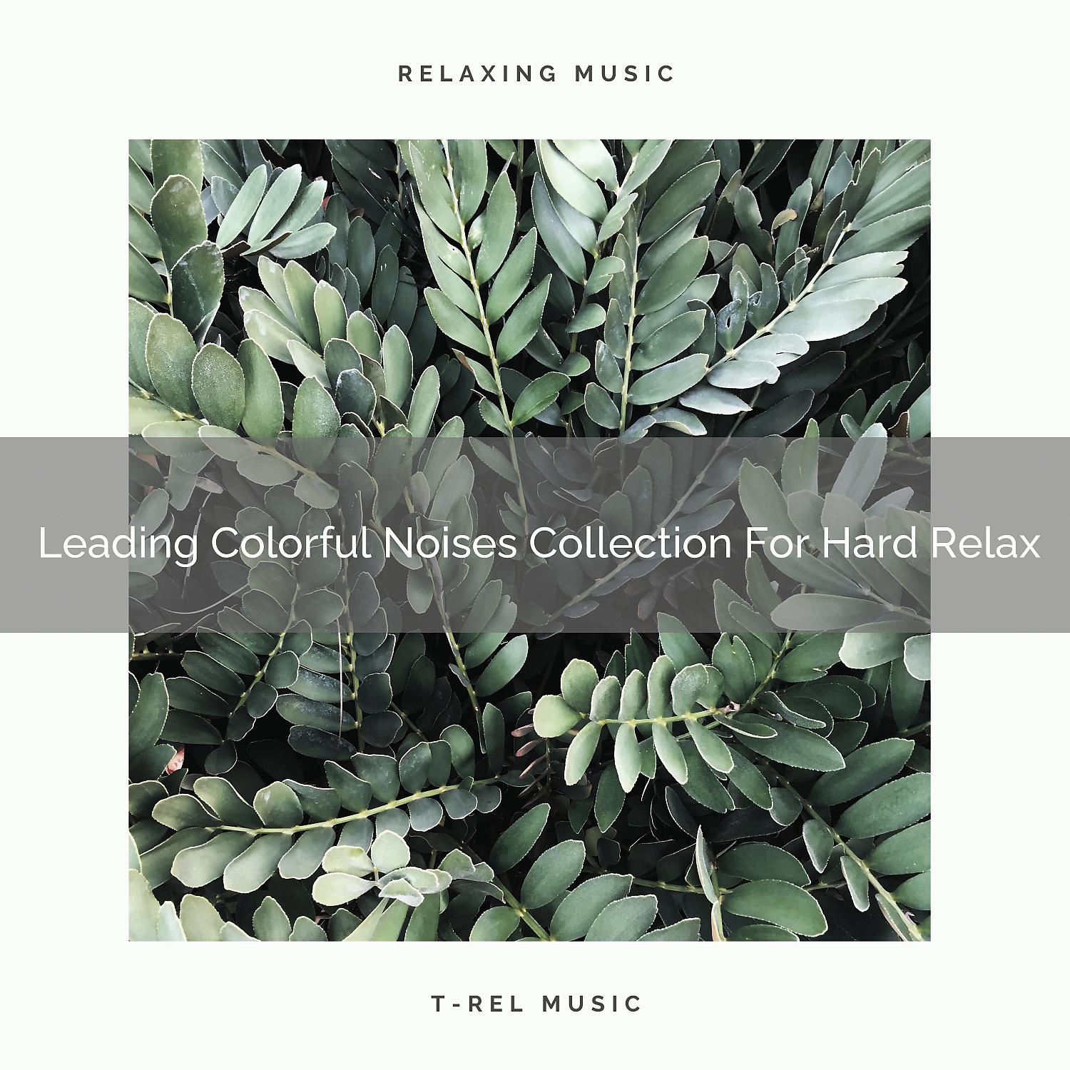 Постер альбома Leading Colorful Noises Collection For Hard Relax