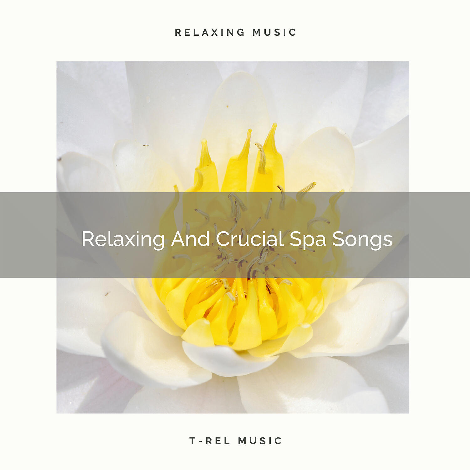 Eternal Relax - Relaxing And Crucial Yoga Tunes