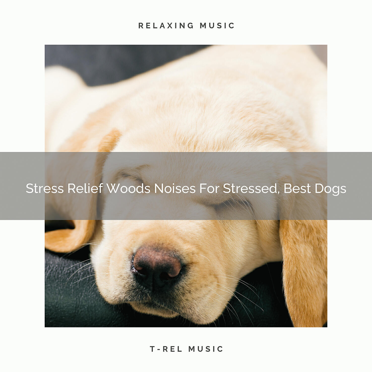 Pets Total Relax - Wind Songs Especially For Beloved Dogs