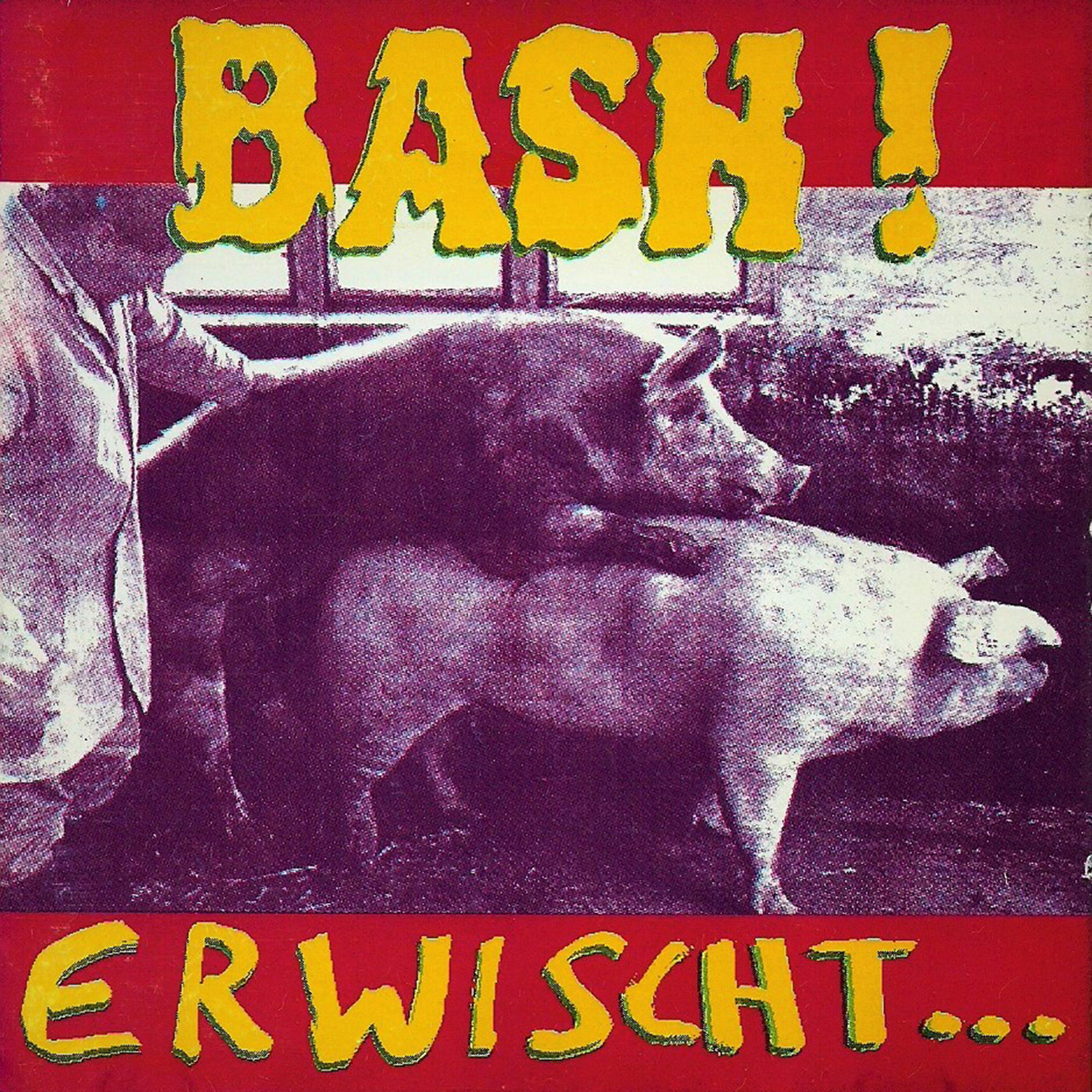 Постер альбома Erwischt und bestraft