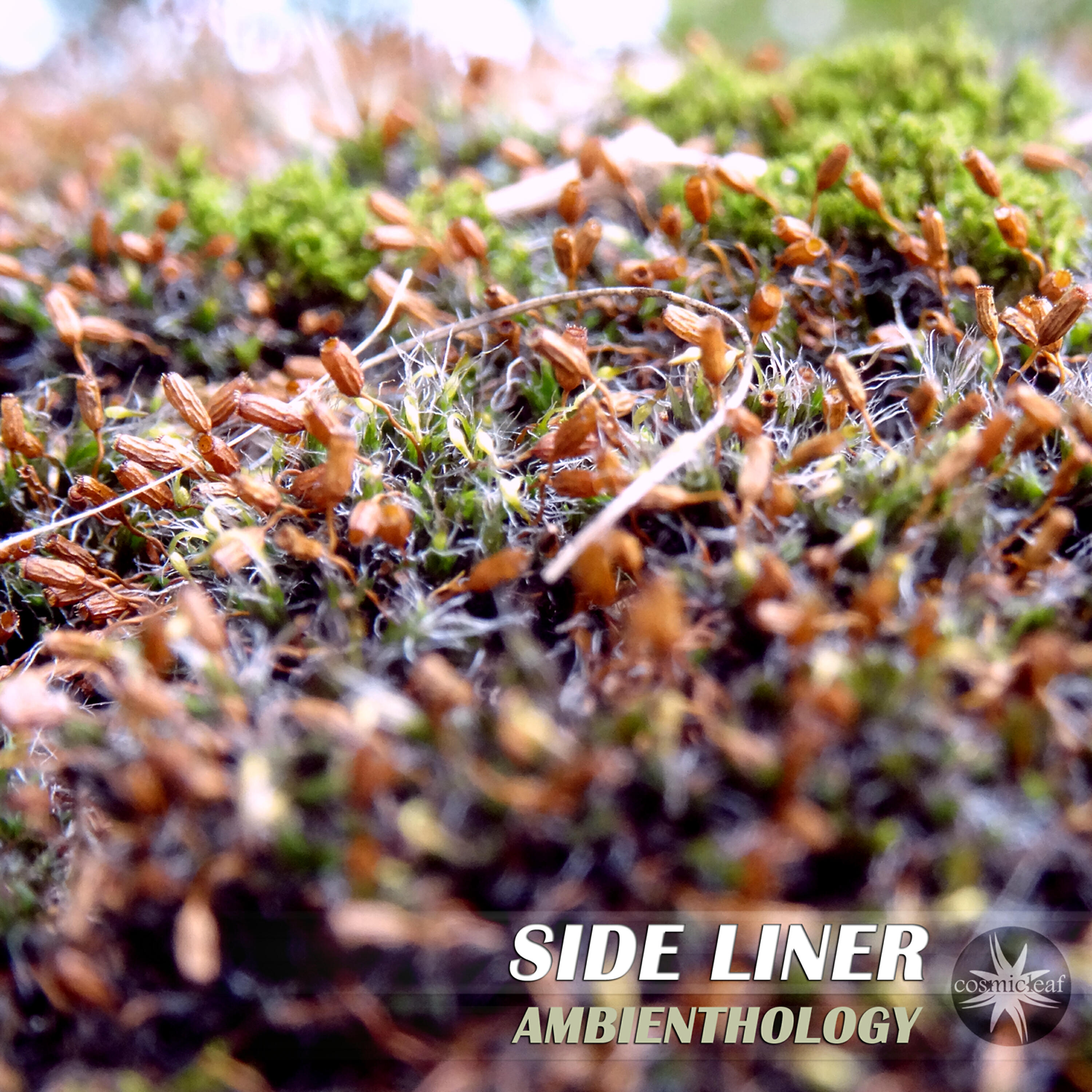Side Liner - Far & Beyond (Ambient Edit)