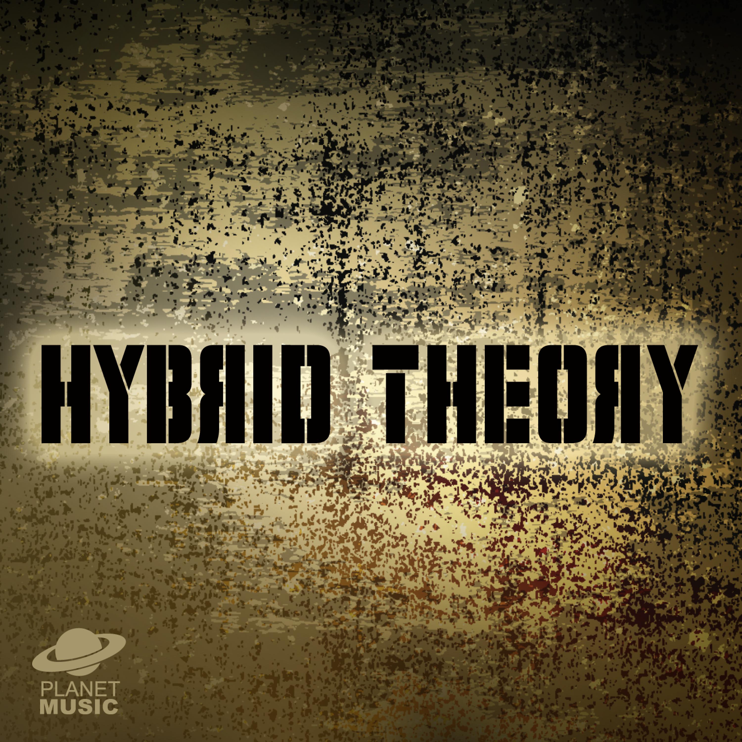 Постер альбома Hybrid Project