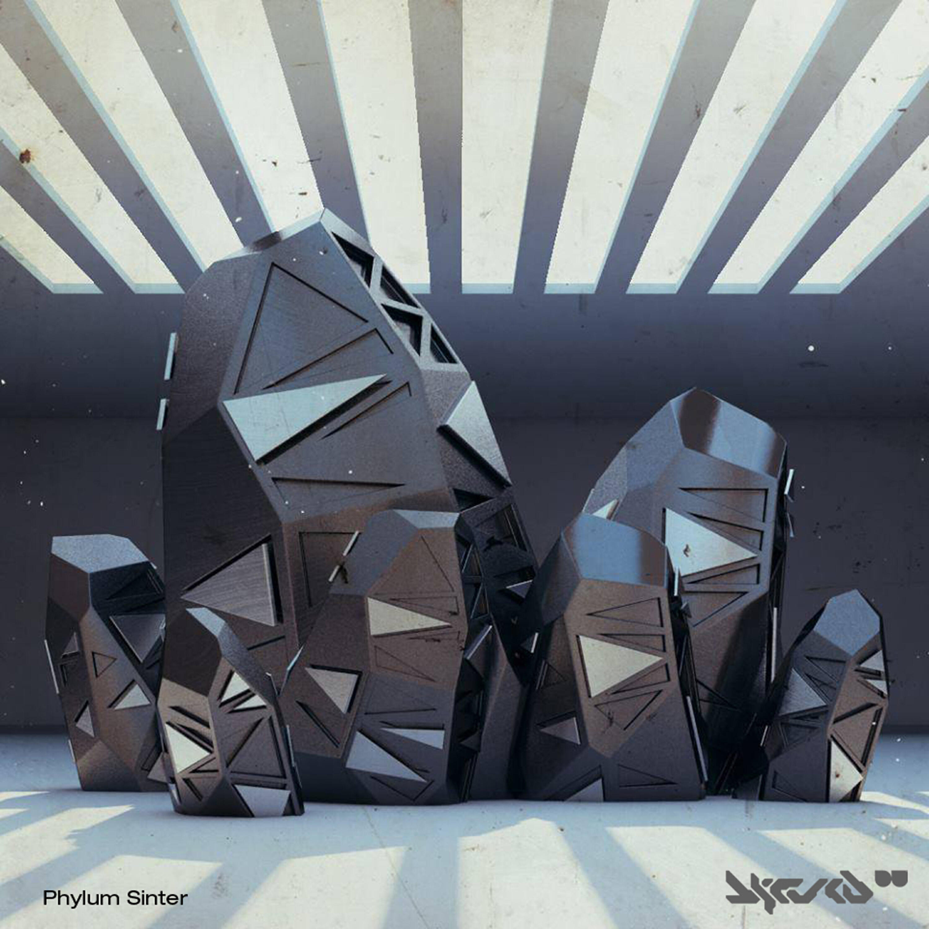 Phylum Sinter - Back 2,1 (BLN Remix)