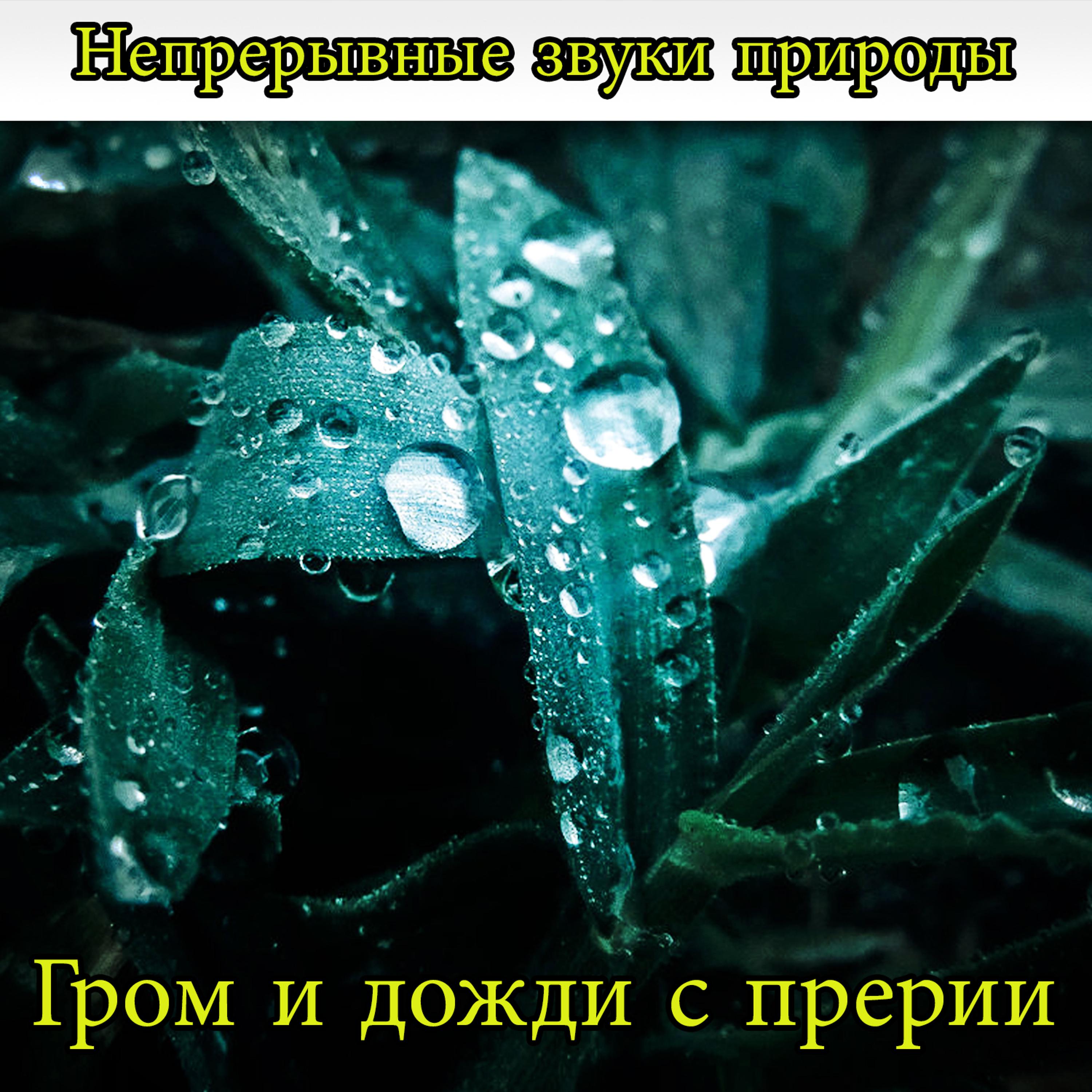 Постер альбома Непрерывные звуки природы: Гром и дожди с прерии