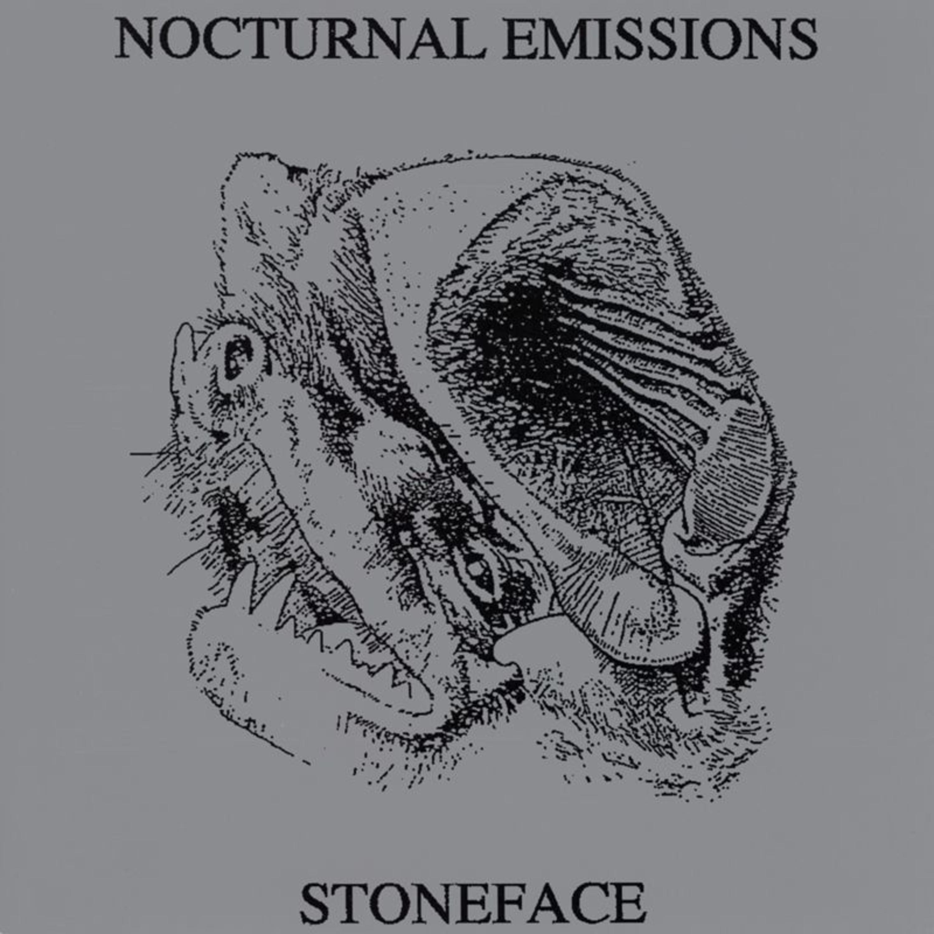 Постер альбома Stoneface