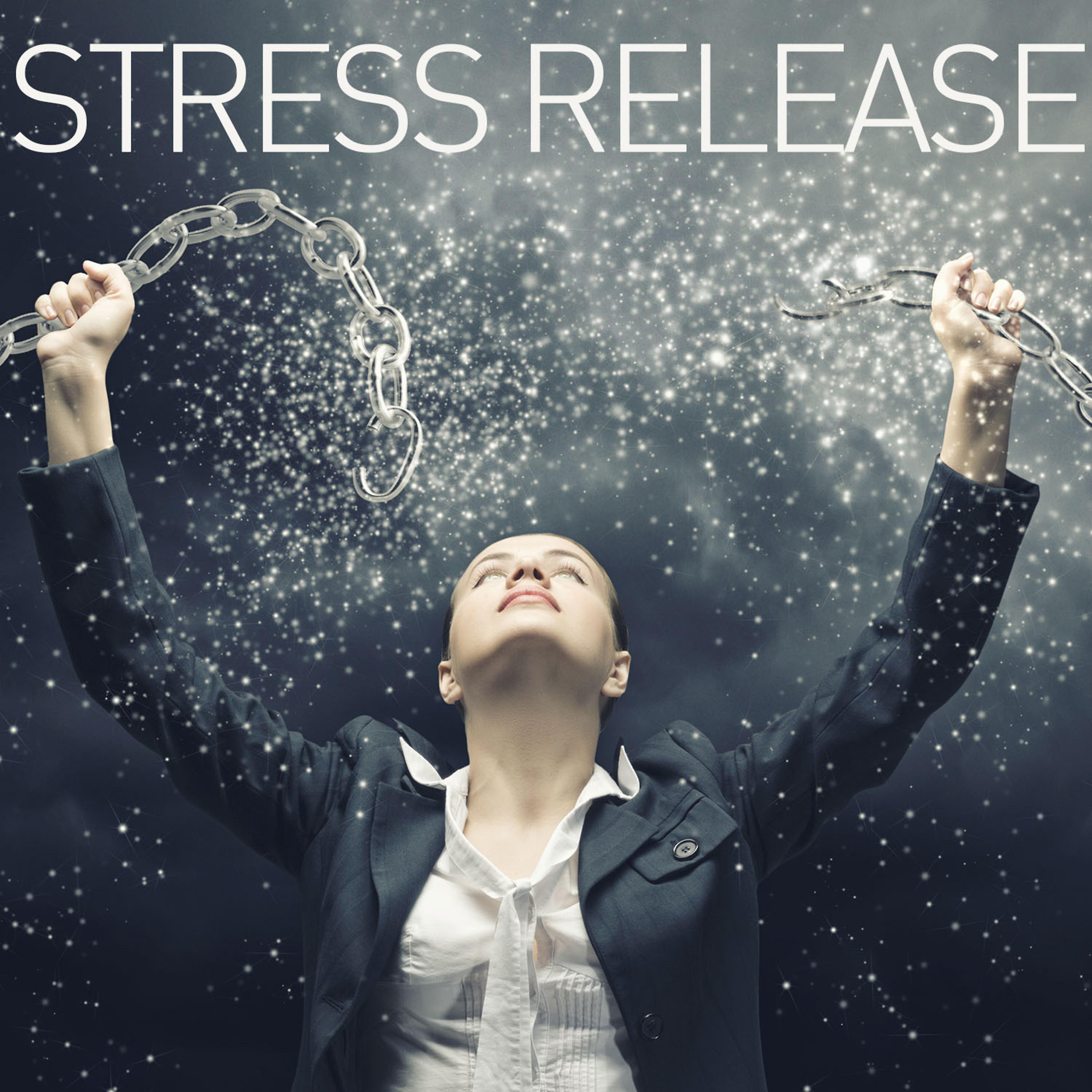Постер альбома Stress Release
