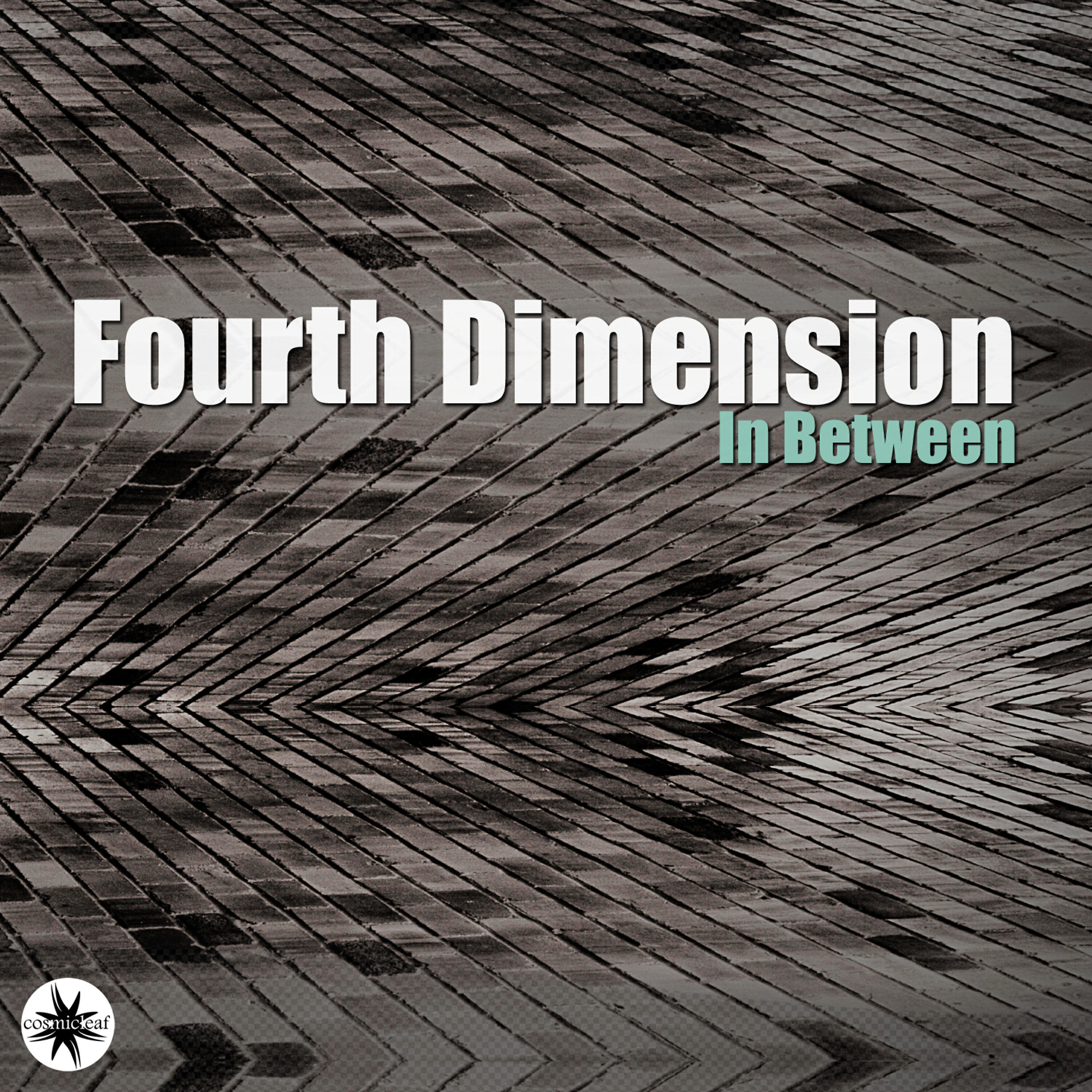 Fourth Dimension - Hypocrisy