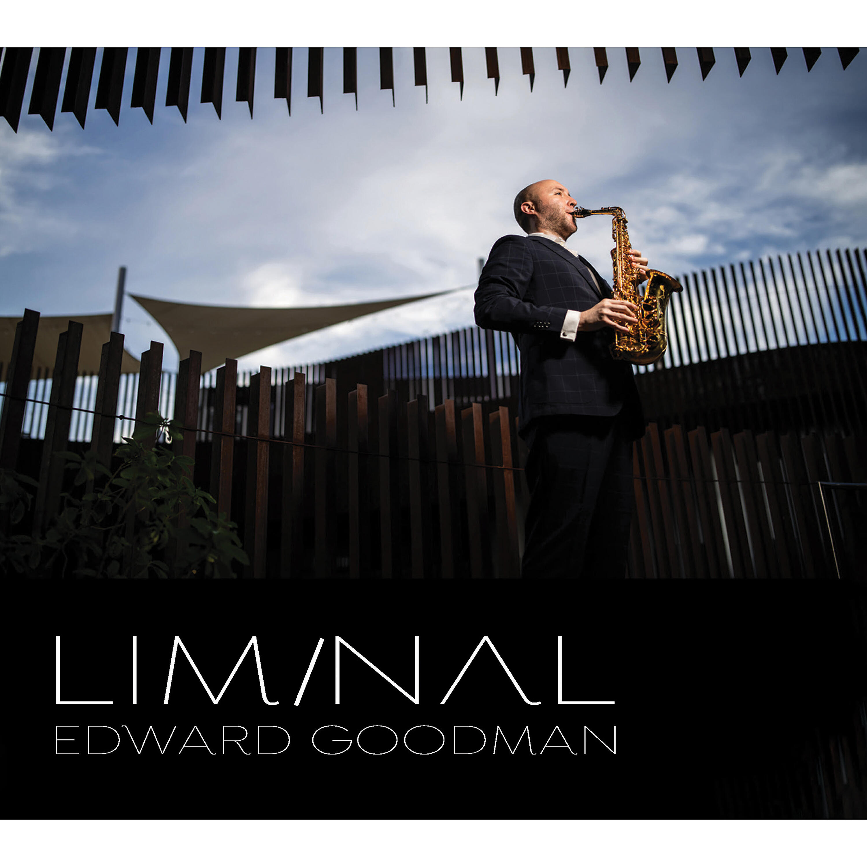 Edward Goodman - Lilith: III. Will-o'-the-Wisp