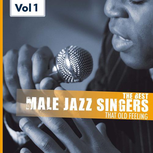 Постер альбома Male Jazz Singers, Vol.1 (My One and Only Love)