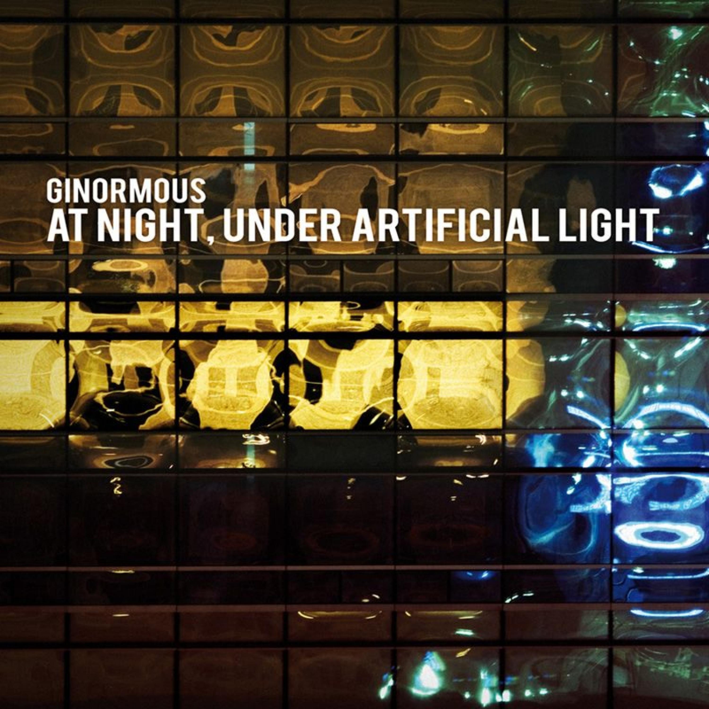 Постер альбома At Night, Under Artificial Light