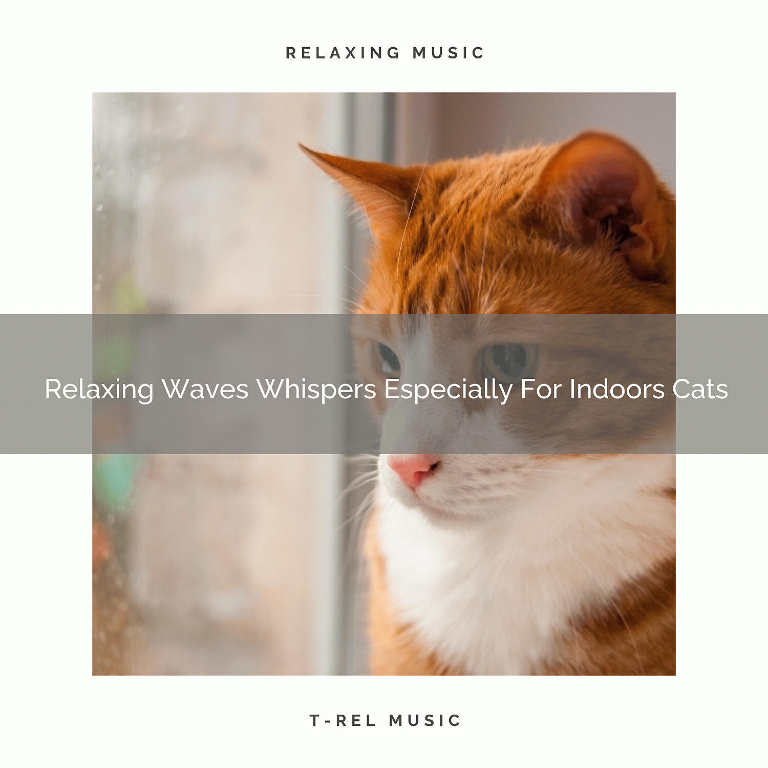 Cats Music Den - Total Waves Songs Especially For Your Beloved Cats