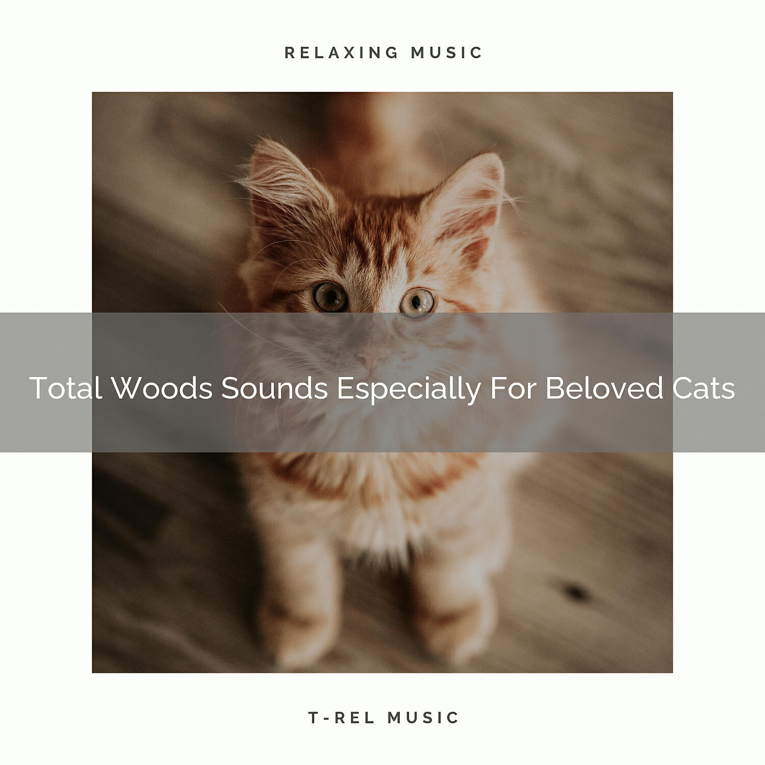 Cats Music Den - Relaxing Woods Sounds For Cats