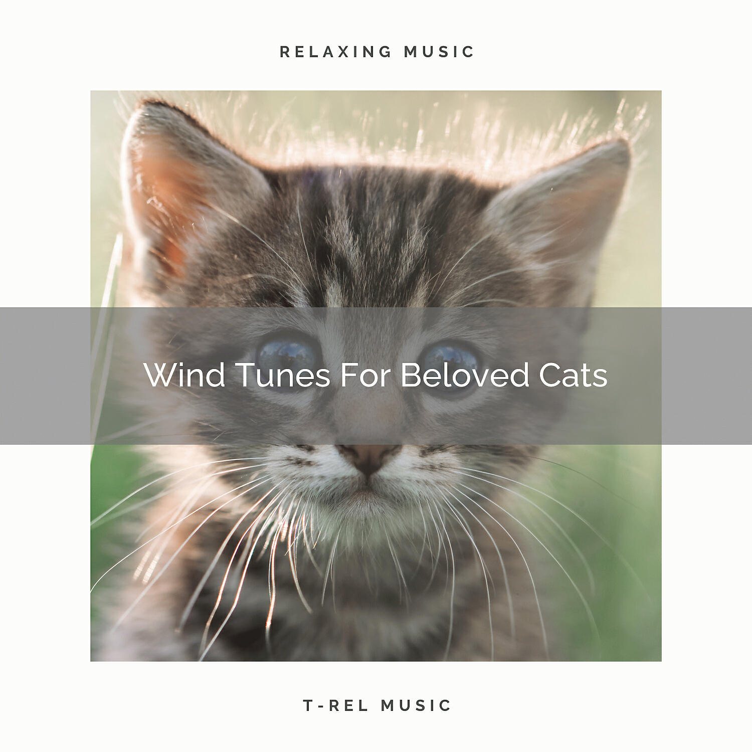 Cats Music Cradle - All Woods Sounds Especially For Home Cats