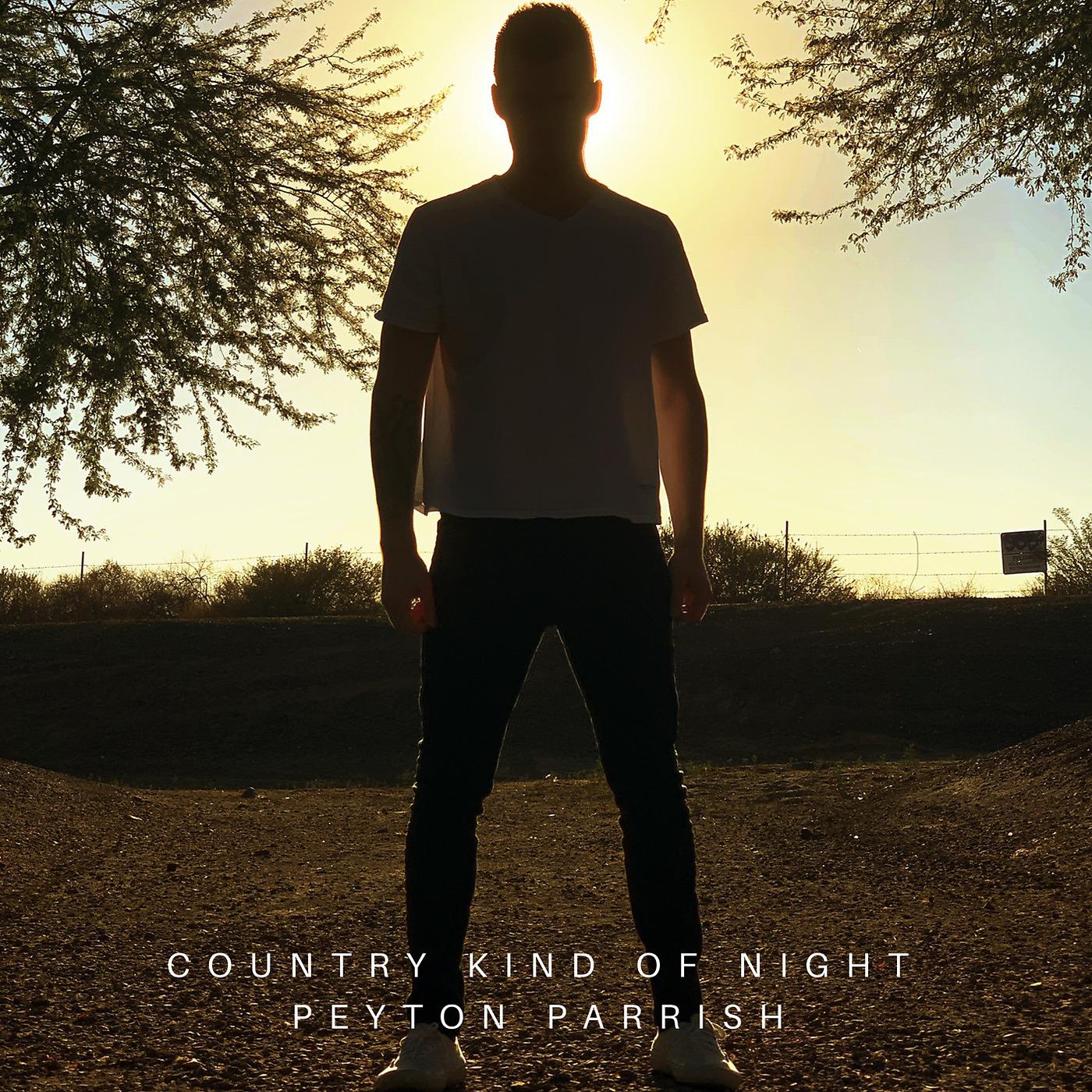 Постер альбома Country Kind of Night