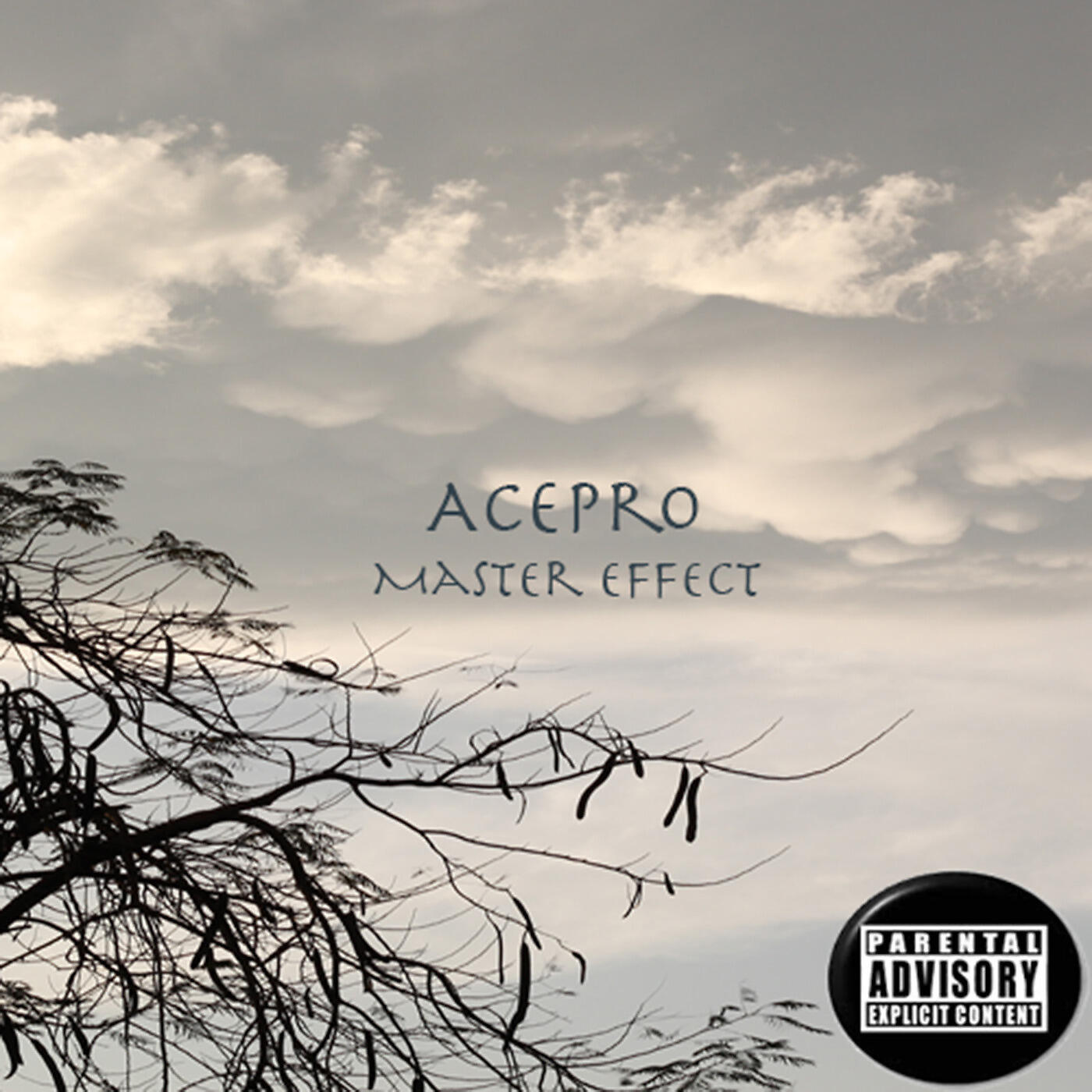 Acepro - Black Saint