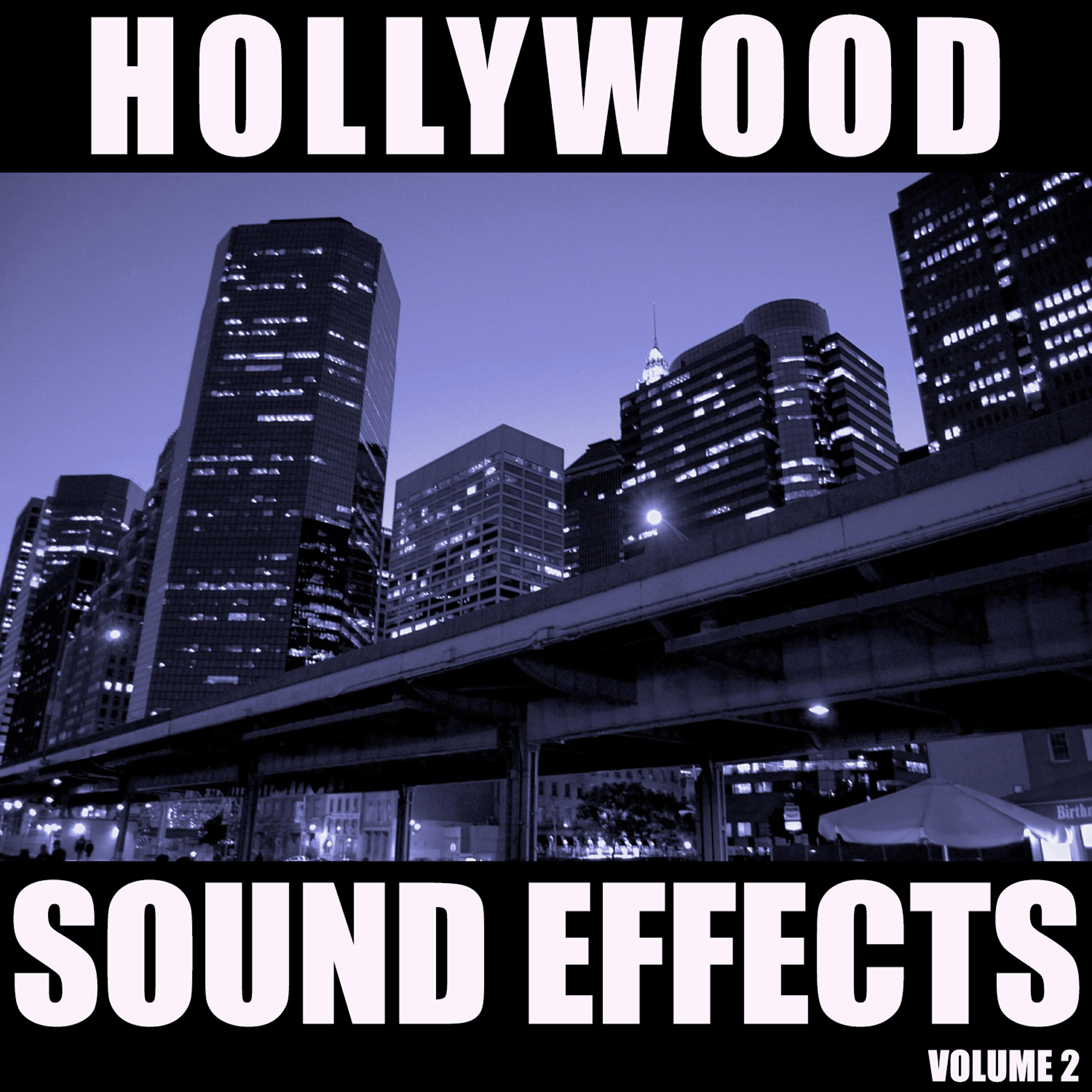 Hollywood Sound Effects Library - Data Processor