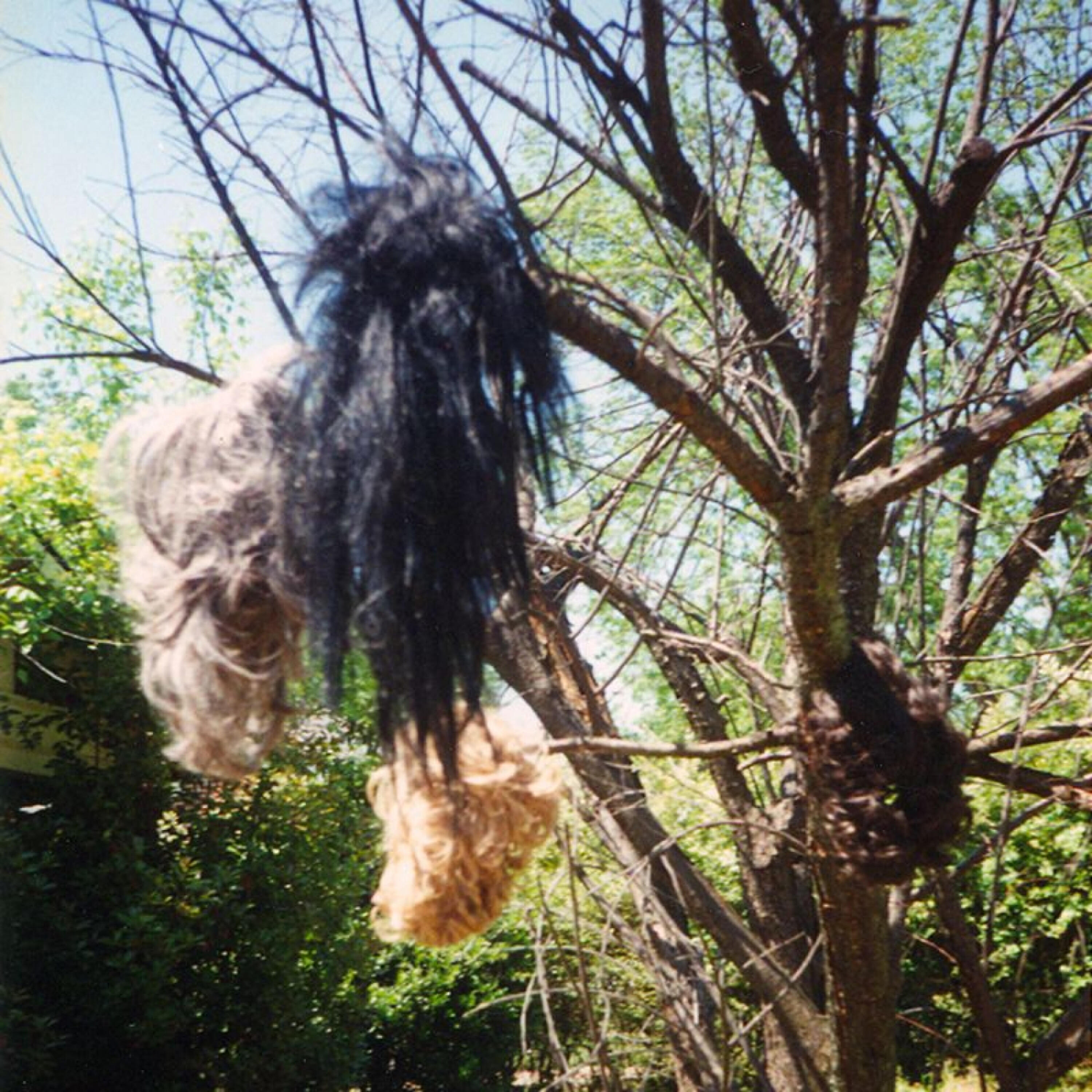 Christian Fernandez - Puppetry