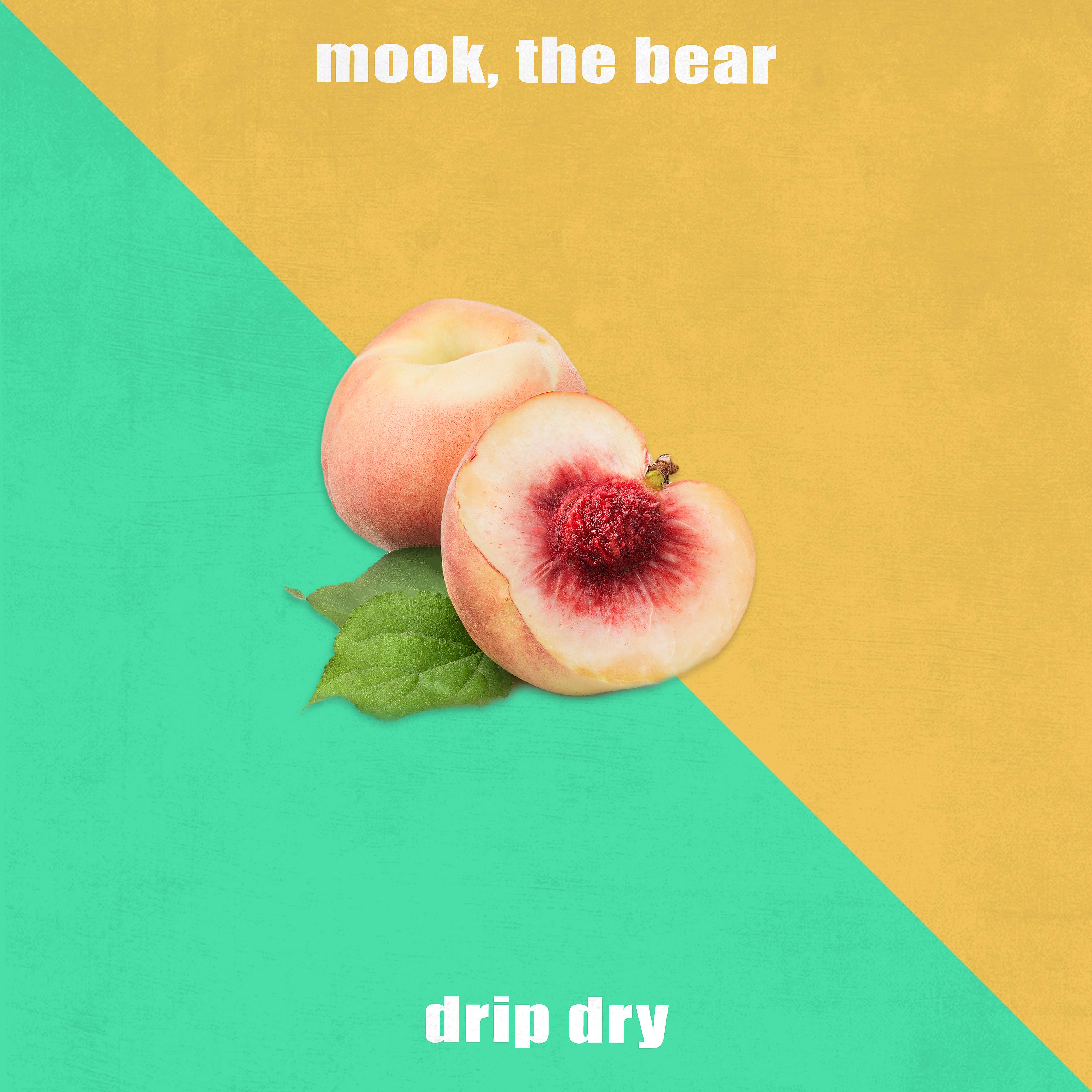 Постер альбома Drip Dry