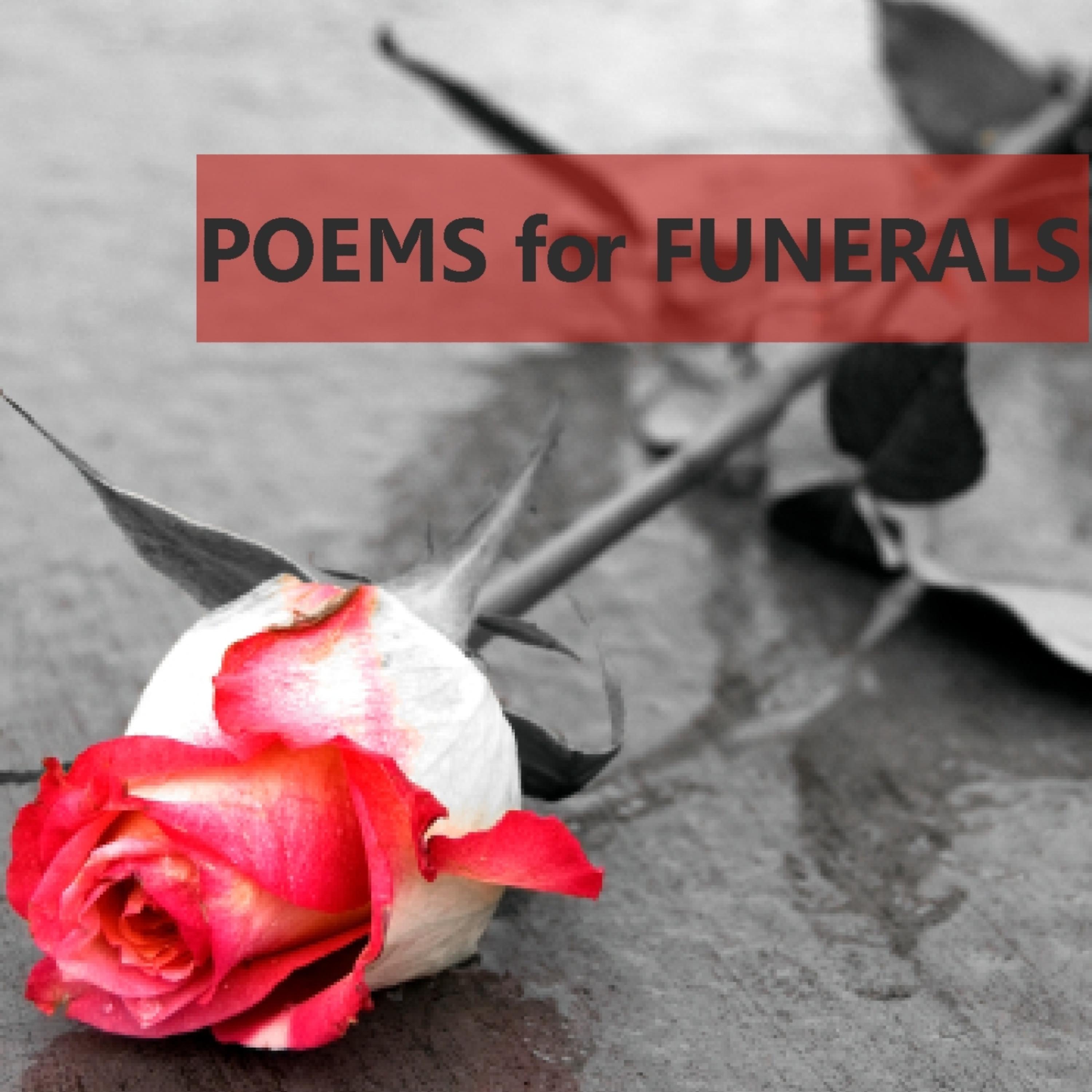 Постер альбома Poems for Funerals