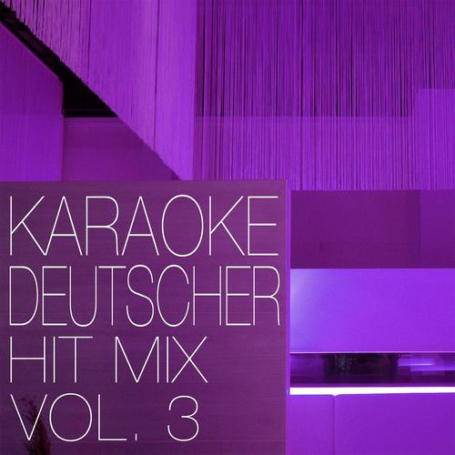 Постер альбома Deutscher Hit Mix, Vol. 3