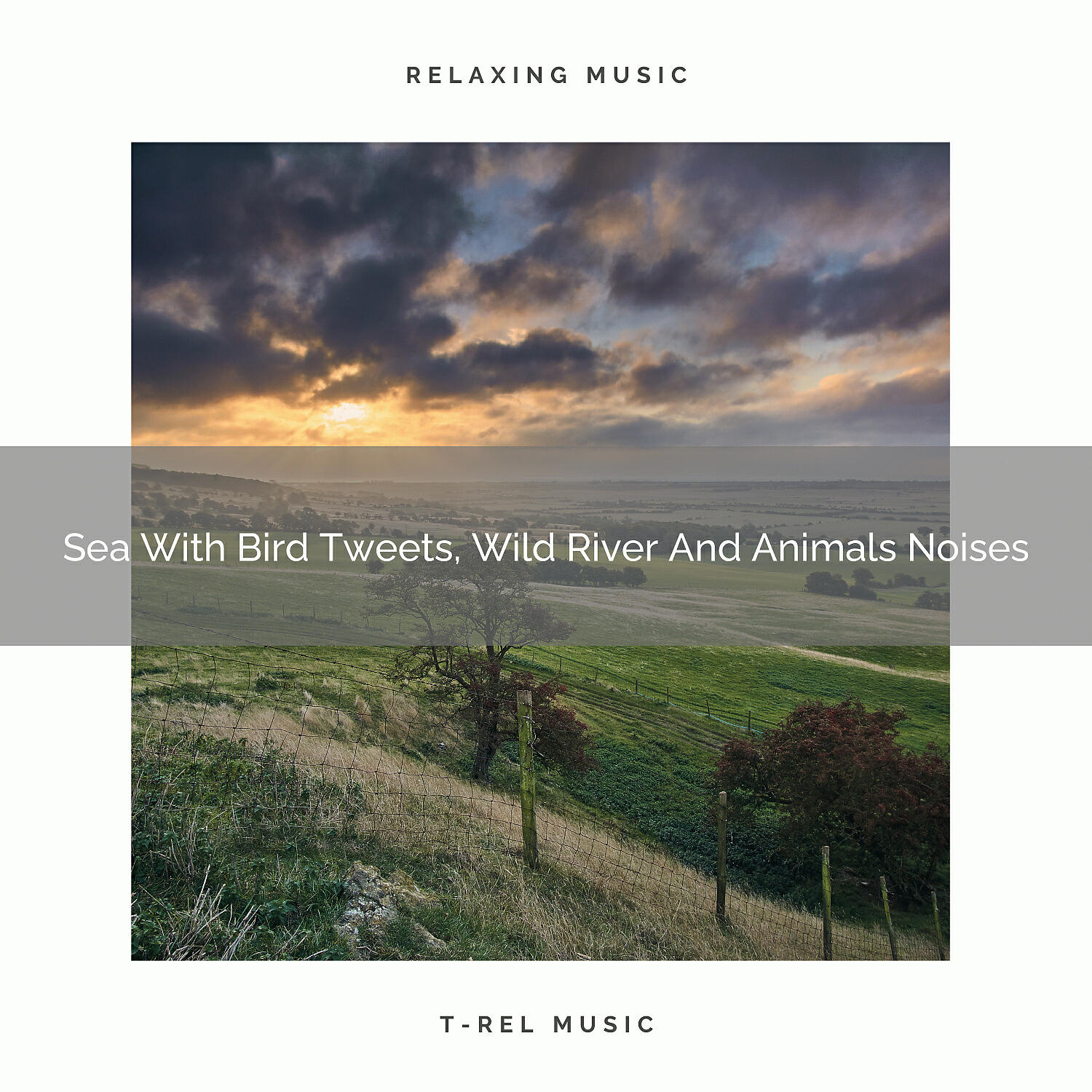 Nature Songs Nature Music - Ocean With Bird Tweets, Water And Sounds Of Wilderness