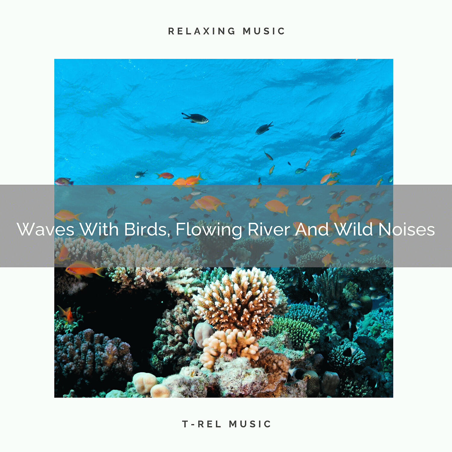 Nature Music Nature Songs - Sea With Bird Songs, Wild River And Sounds Of Wilderness