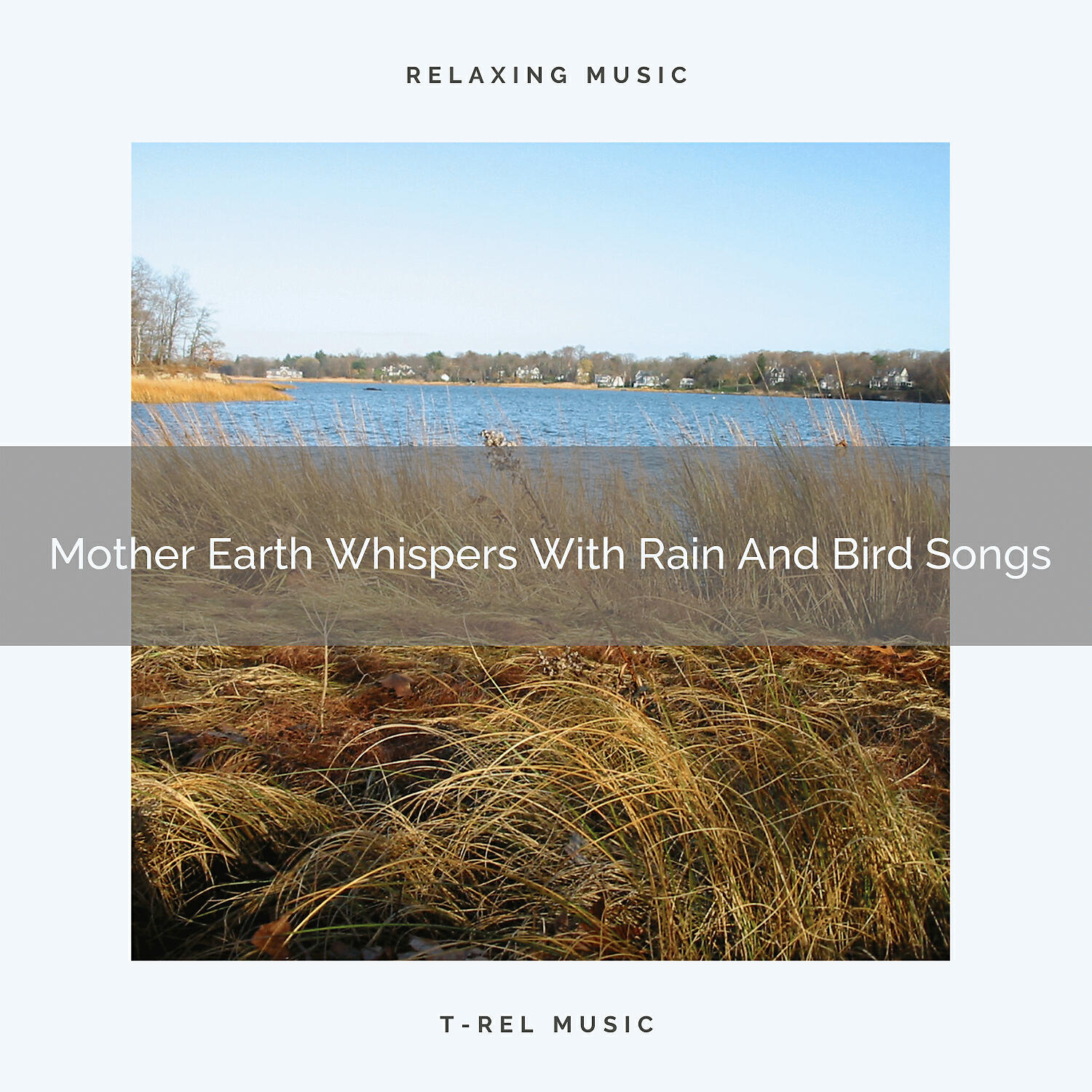 Nature Sounds - Birds Tunes For Deep Sleep Composed By Wind Blows