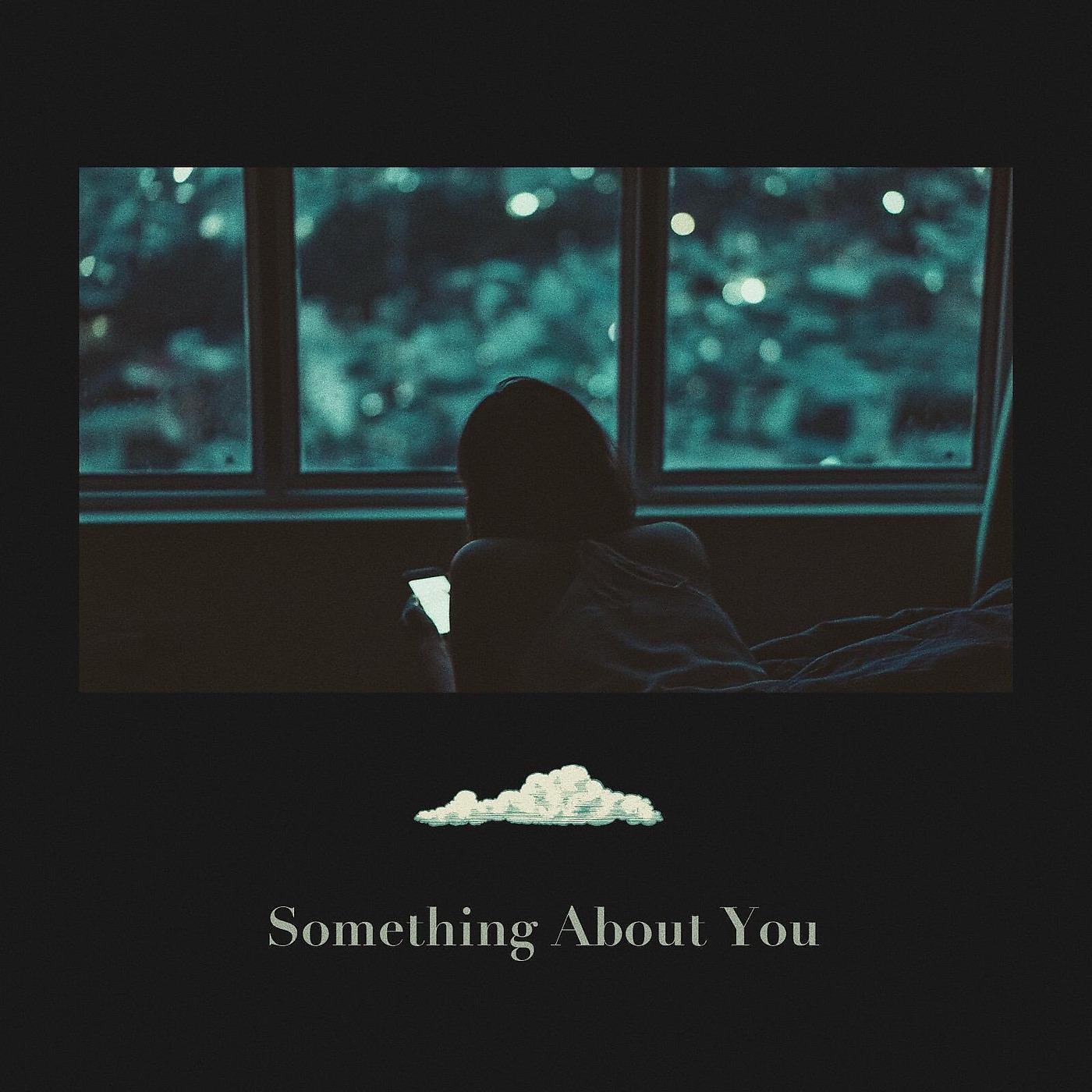 Постер альбома Something About You