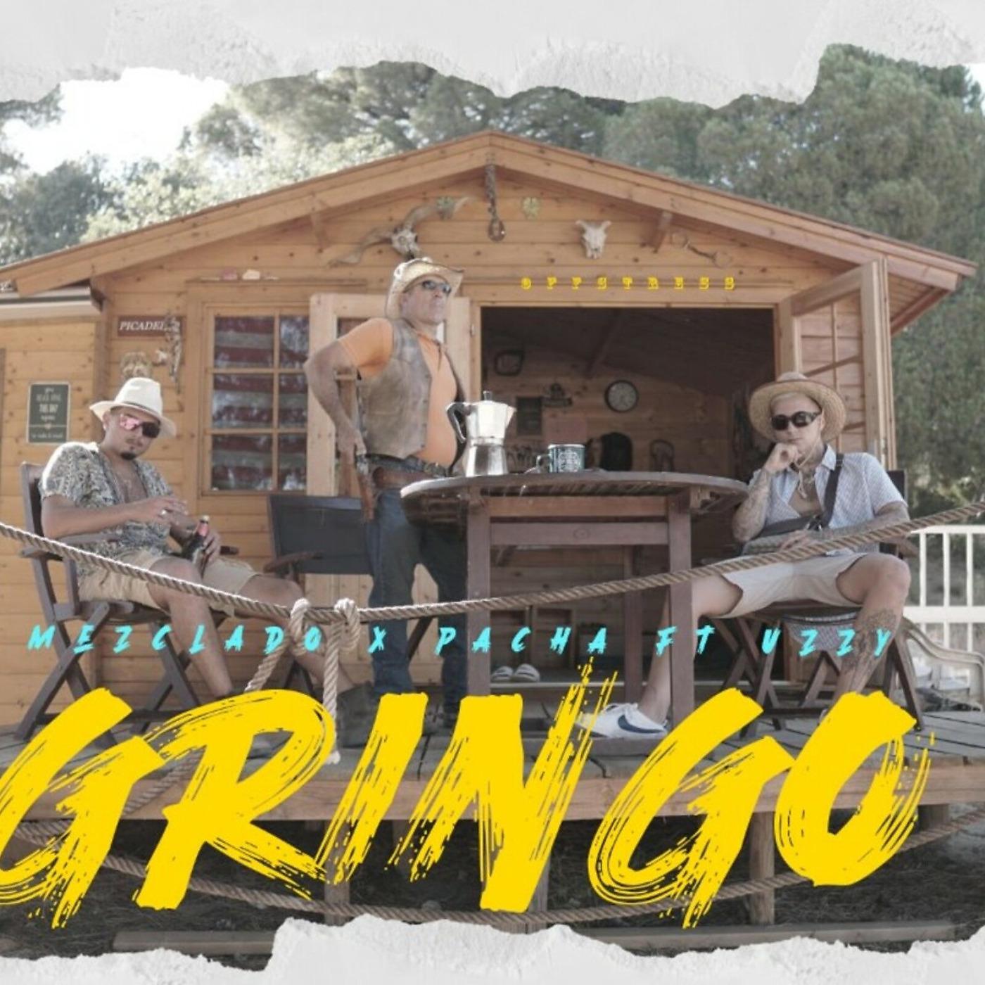 Постер альбома Gringo