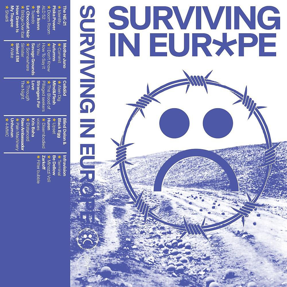 Постер альбома Surviving in Europe