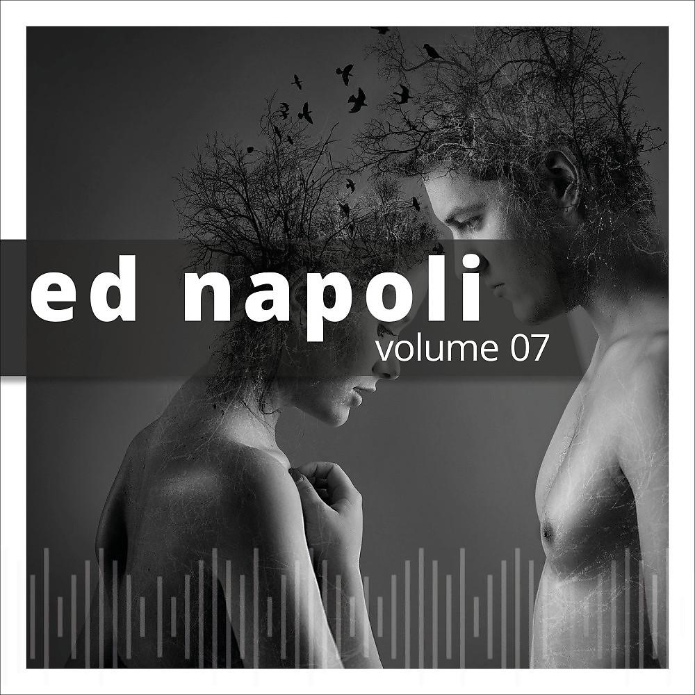 Постер альбома Ed Napoli, Vol. 7