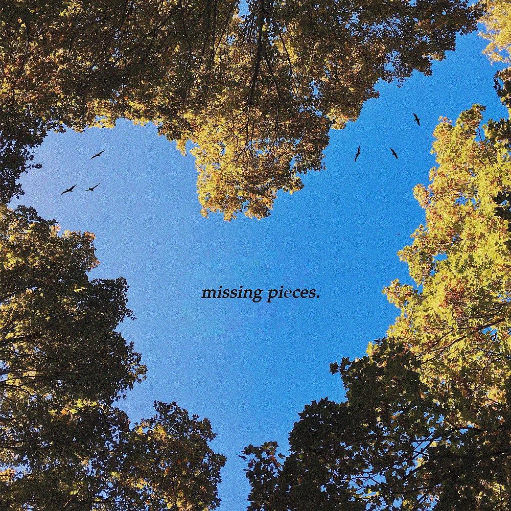 Tommy Menger - Missing Pieces