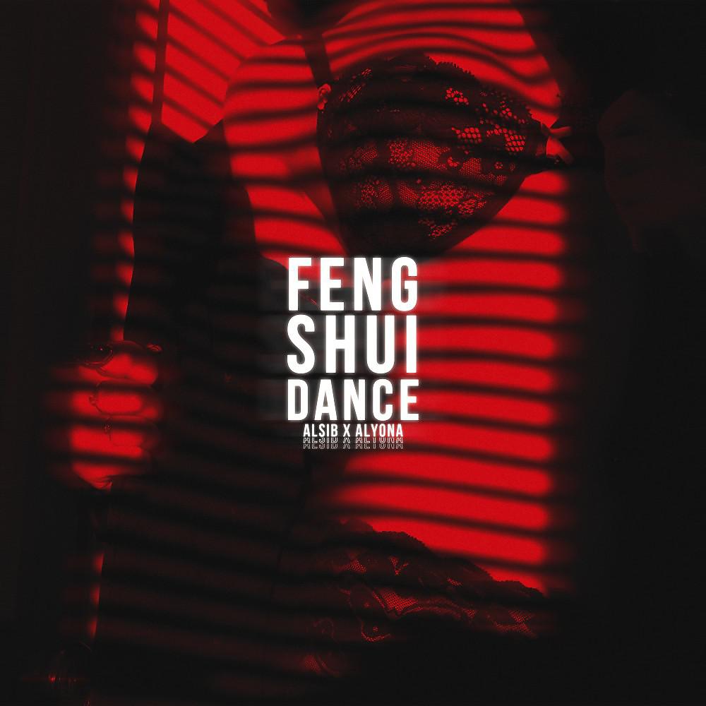 Постер альбома Feng Shui dance