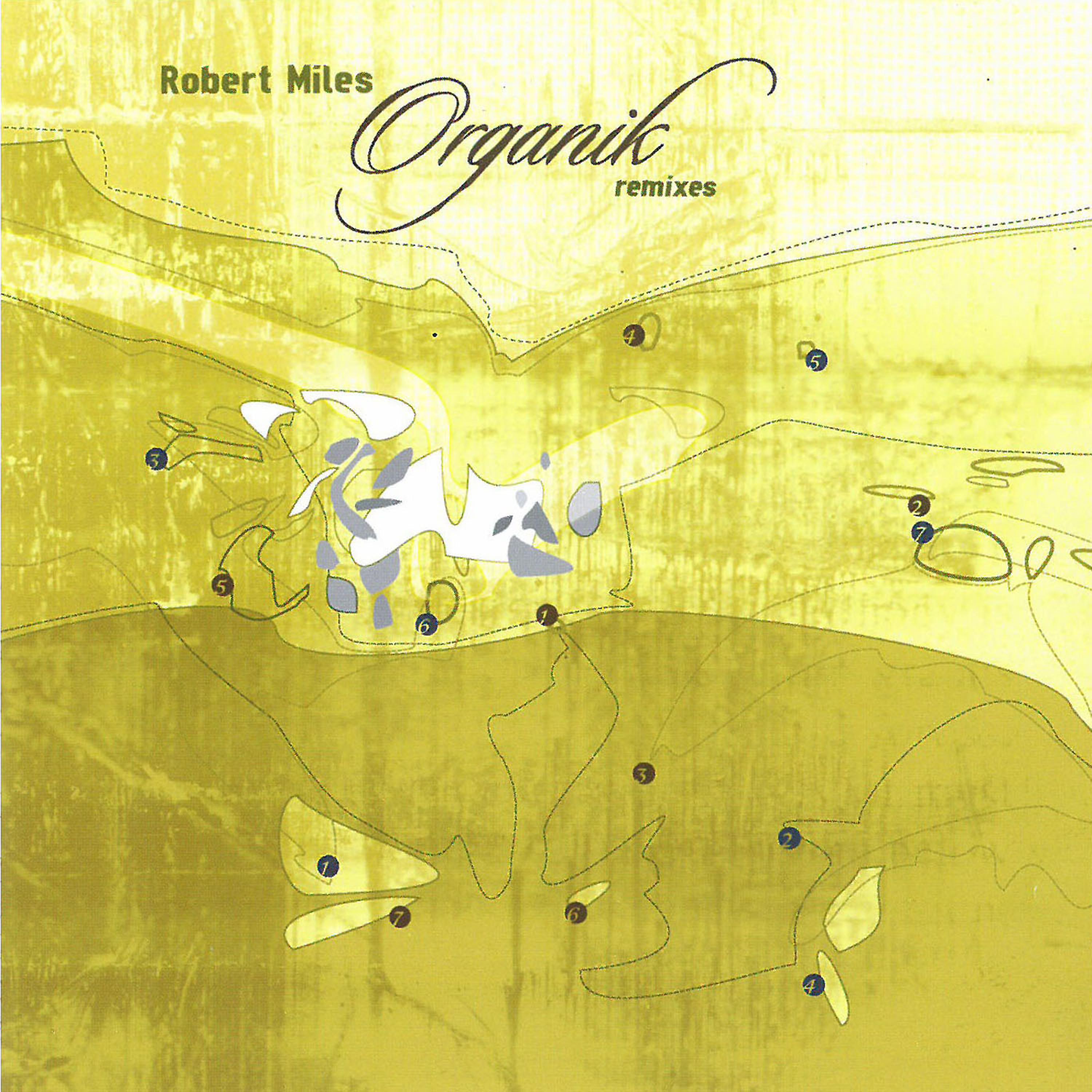 Постер альбома Organik Remixes