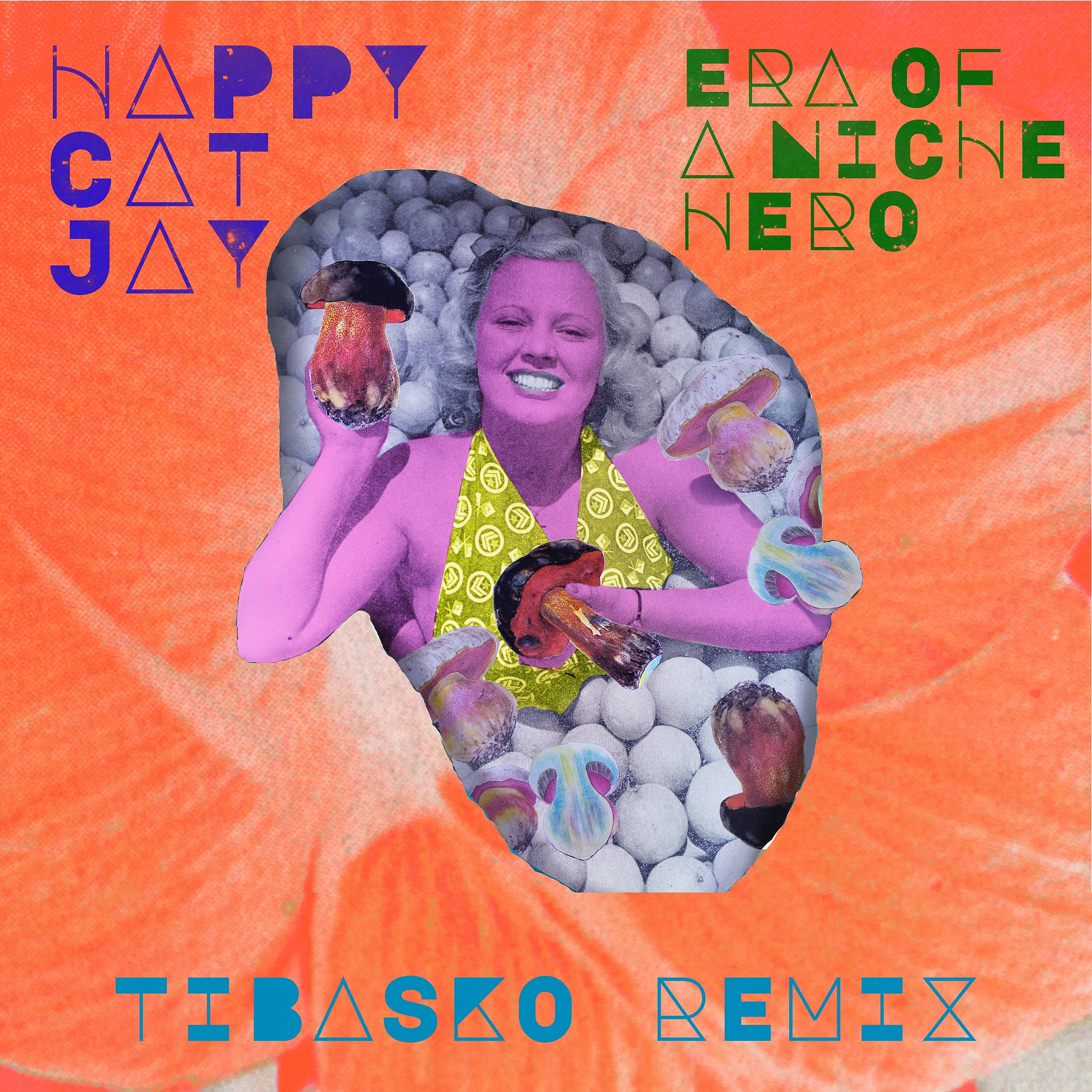 Постер альбома Era of a Niche Hero (Tibasko Remix)