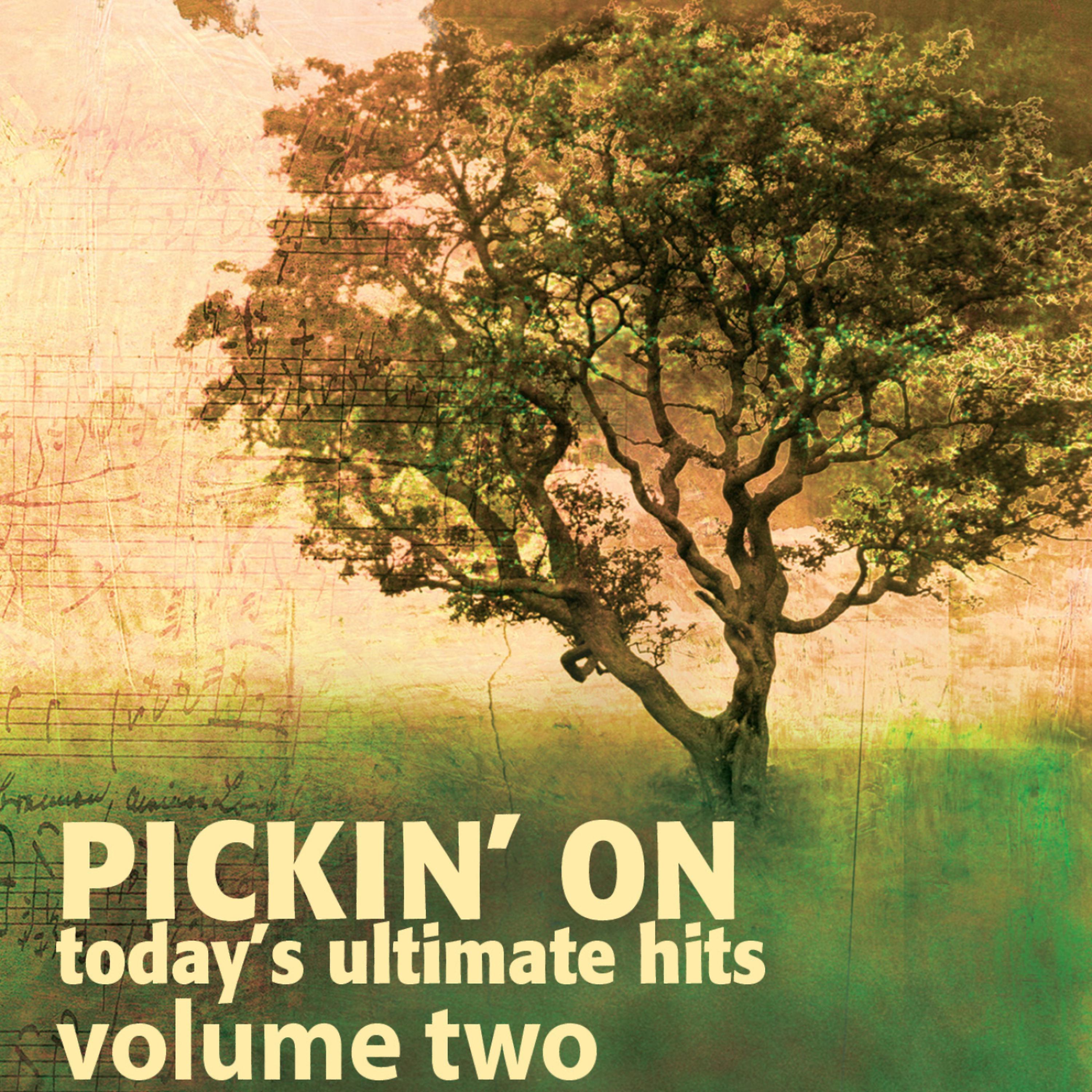 Постер альбома Pickin' on Today's Ultimate Hits Volume 2