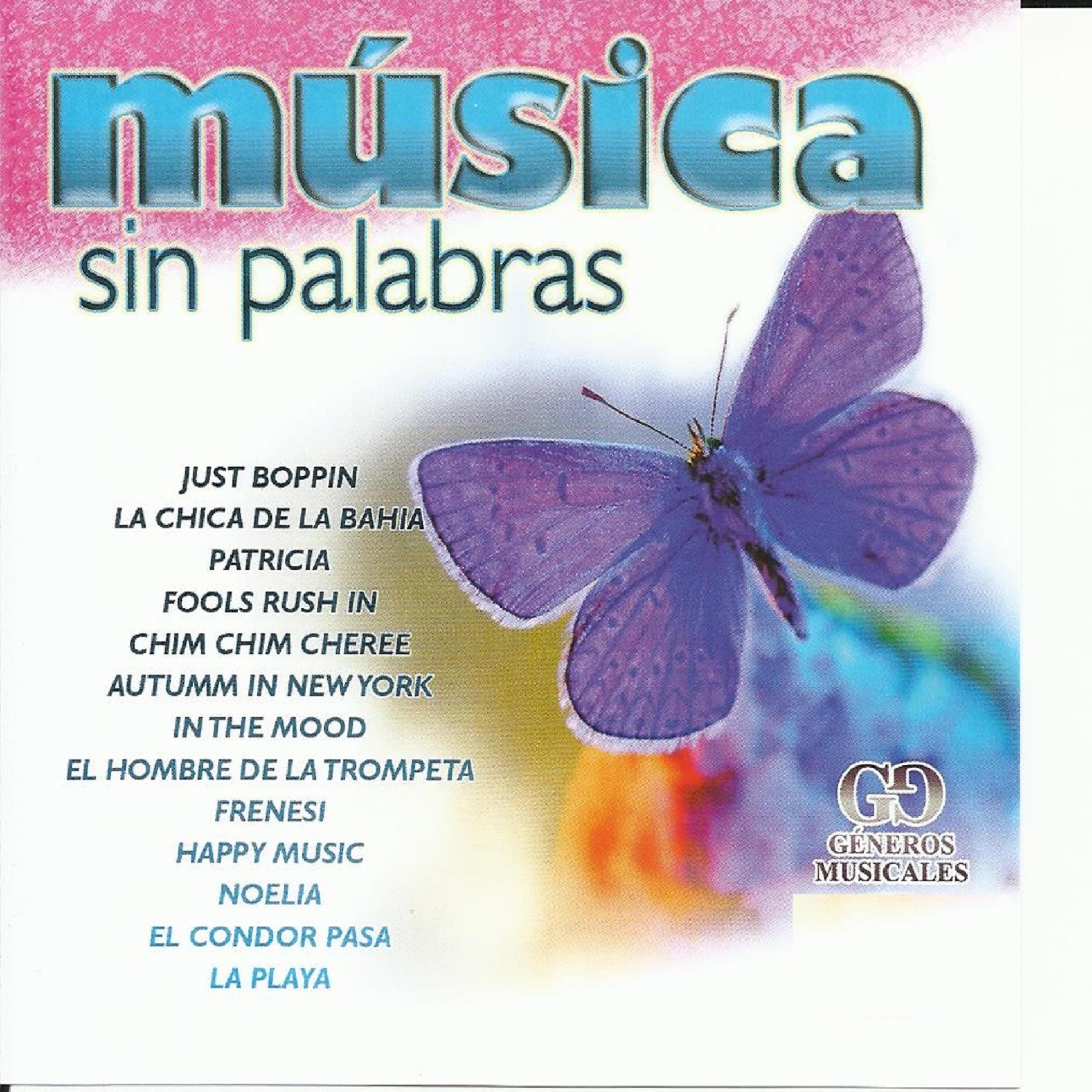 Постер альбома Musica Sin Palabras