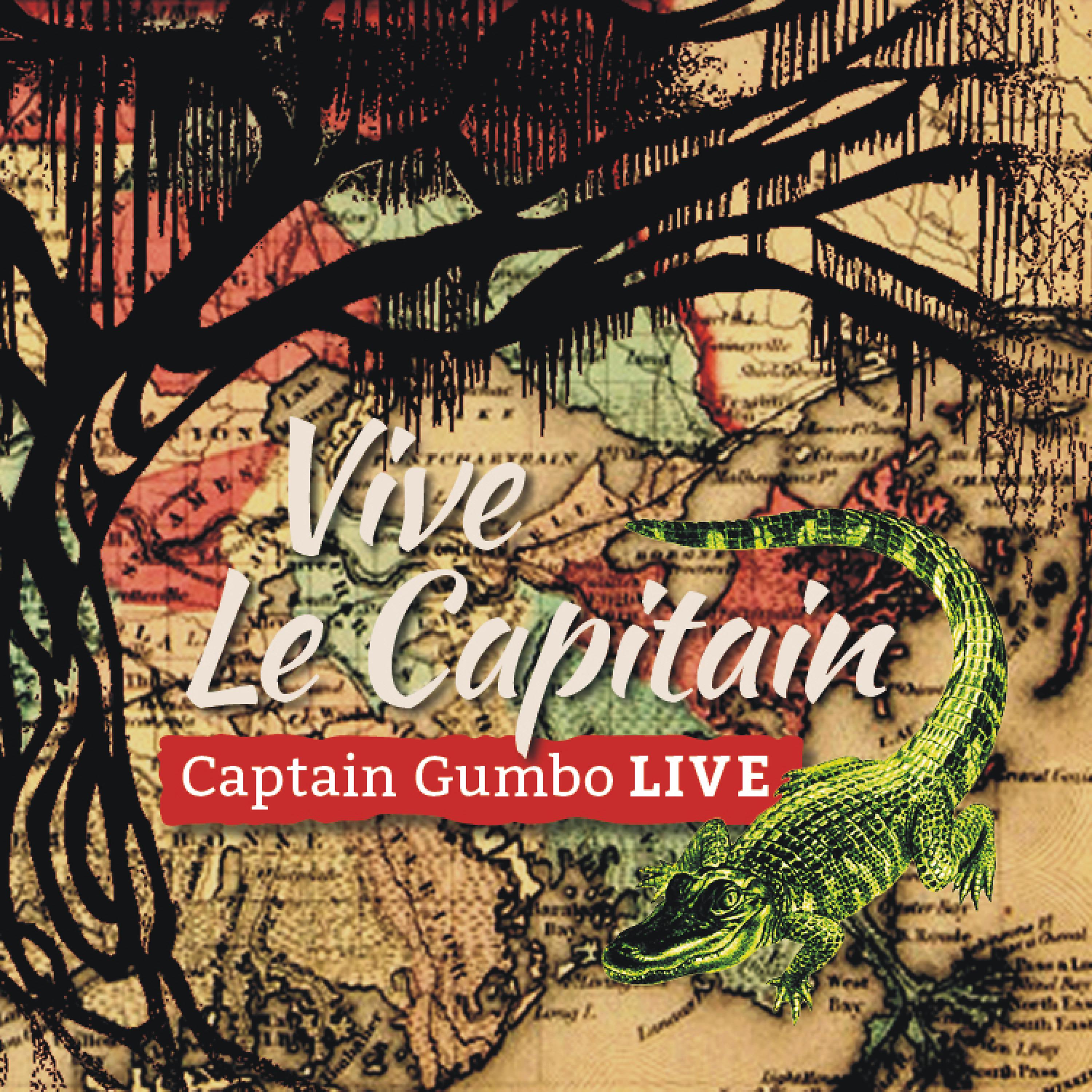 Постер альбома Vive le Capitain (Live)