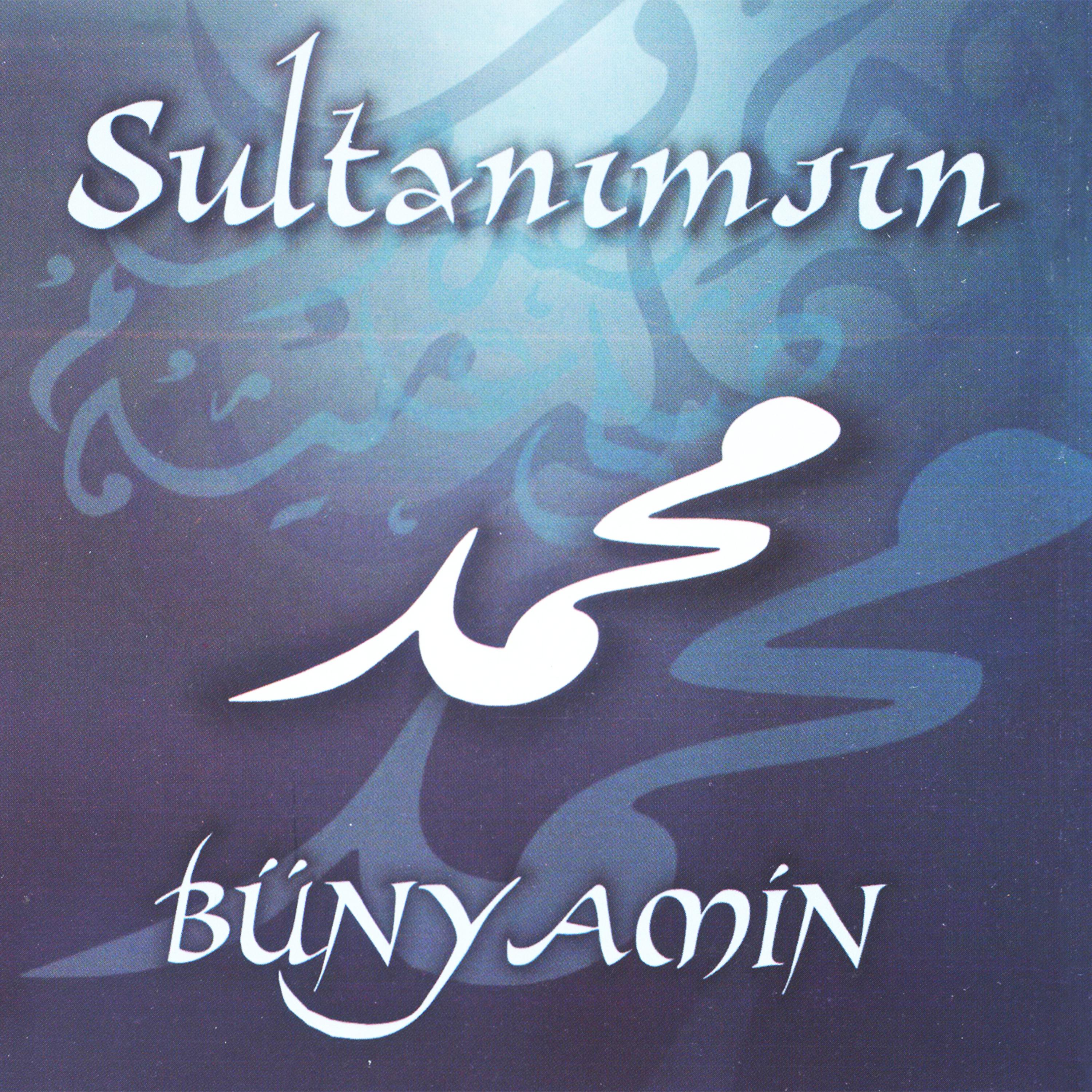 Постер альбома Sultanımsın