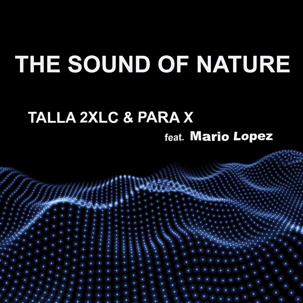 Постер альбома The Sound of Nature 2K20