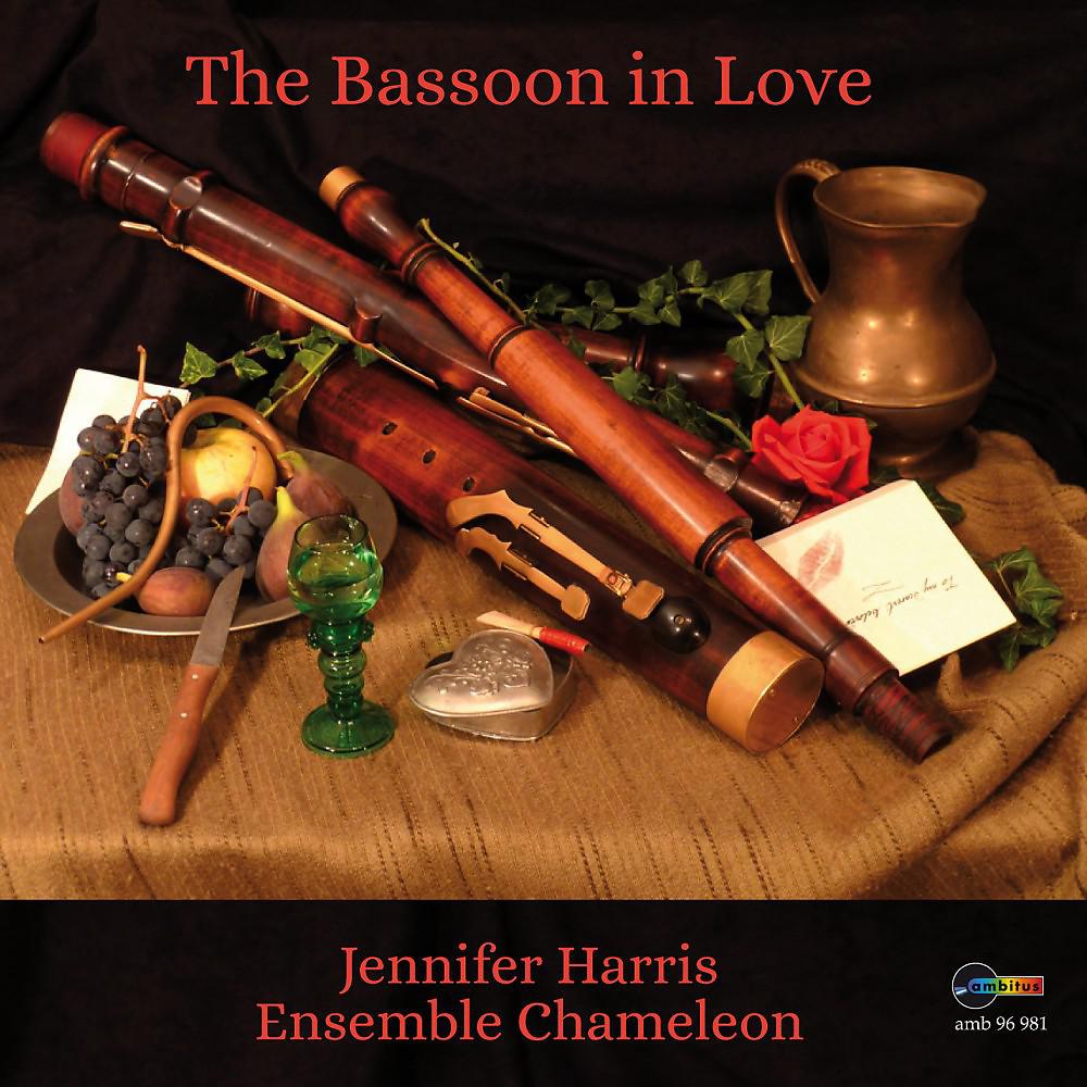 Постер альбома The Bassoon in Love