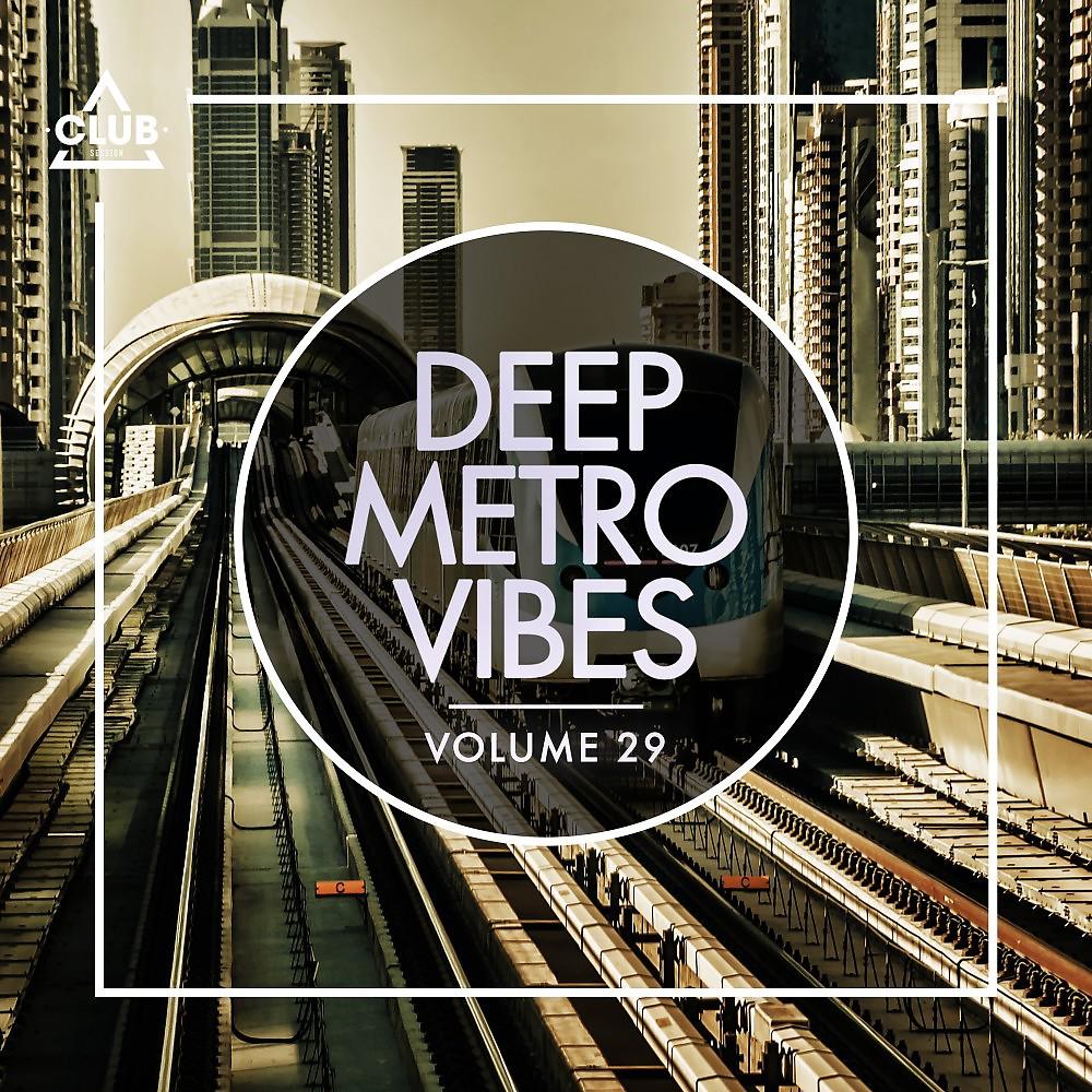 Постер альбома Deep Metro Vibes, Vol. 29