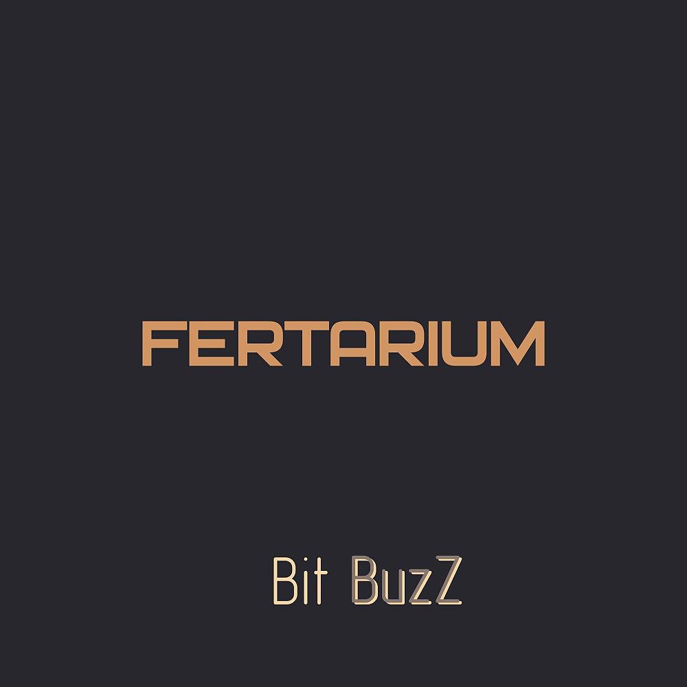 Постер альбома Bit Buzz (Radio Edit)